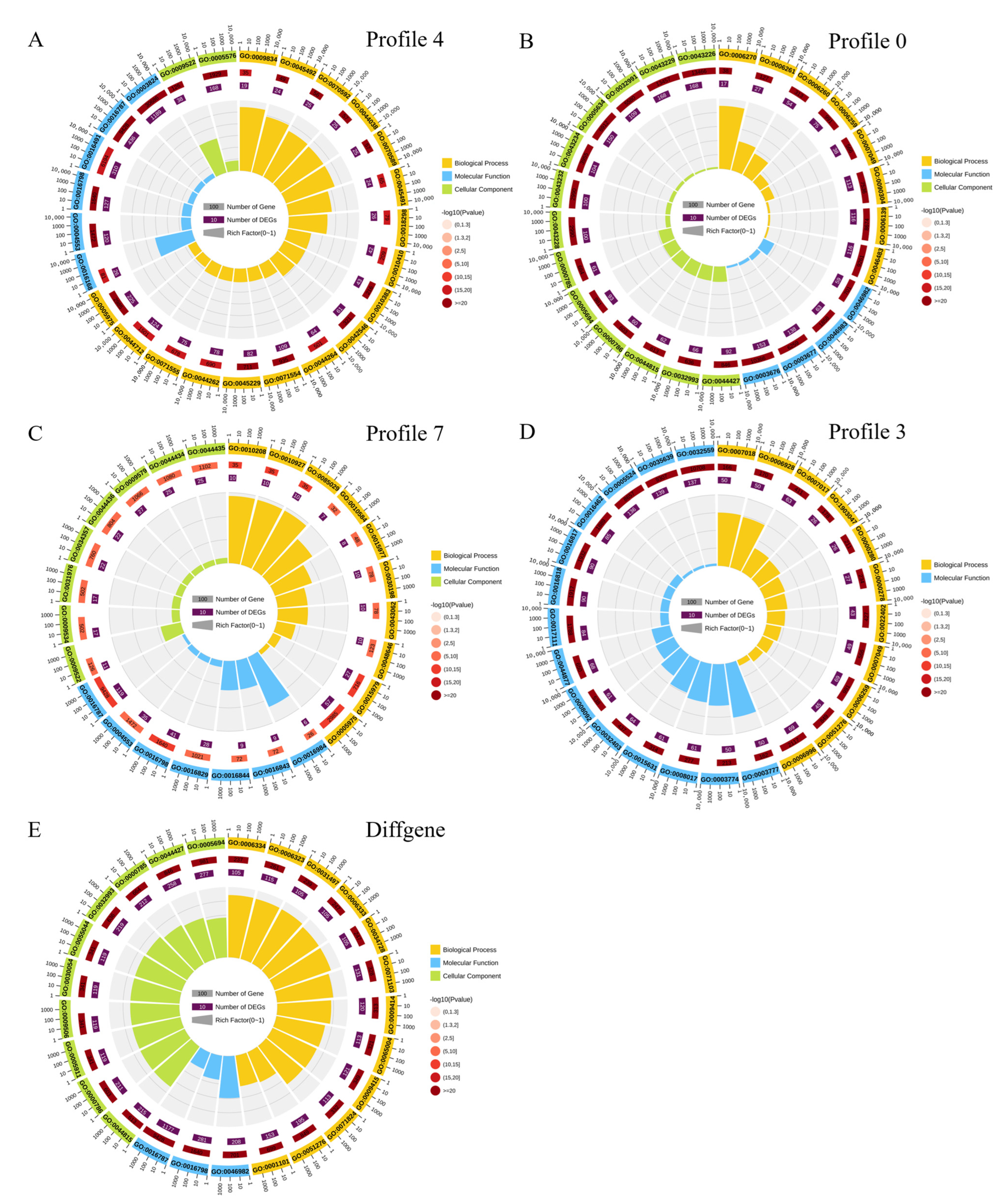 Ijms 24 11666 g003 Ijms 24 11666 g003
