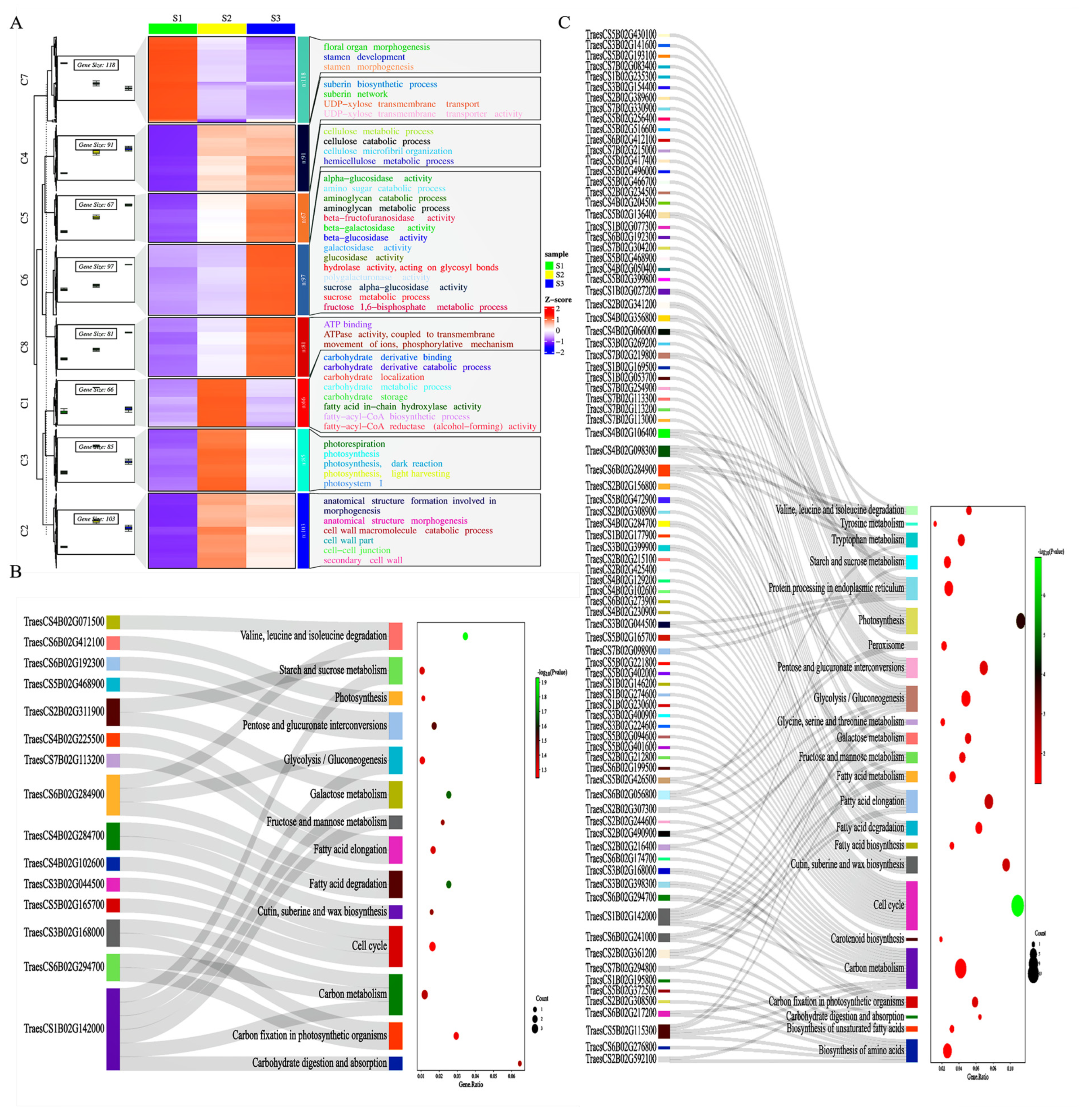Ijms 24 11666 g005 Ijms 24 11666 g005