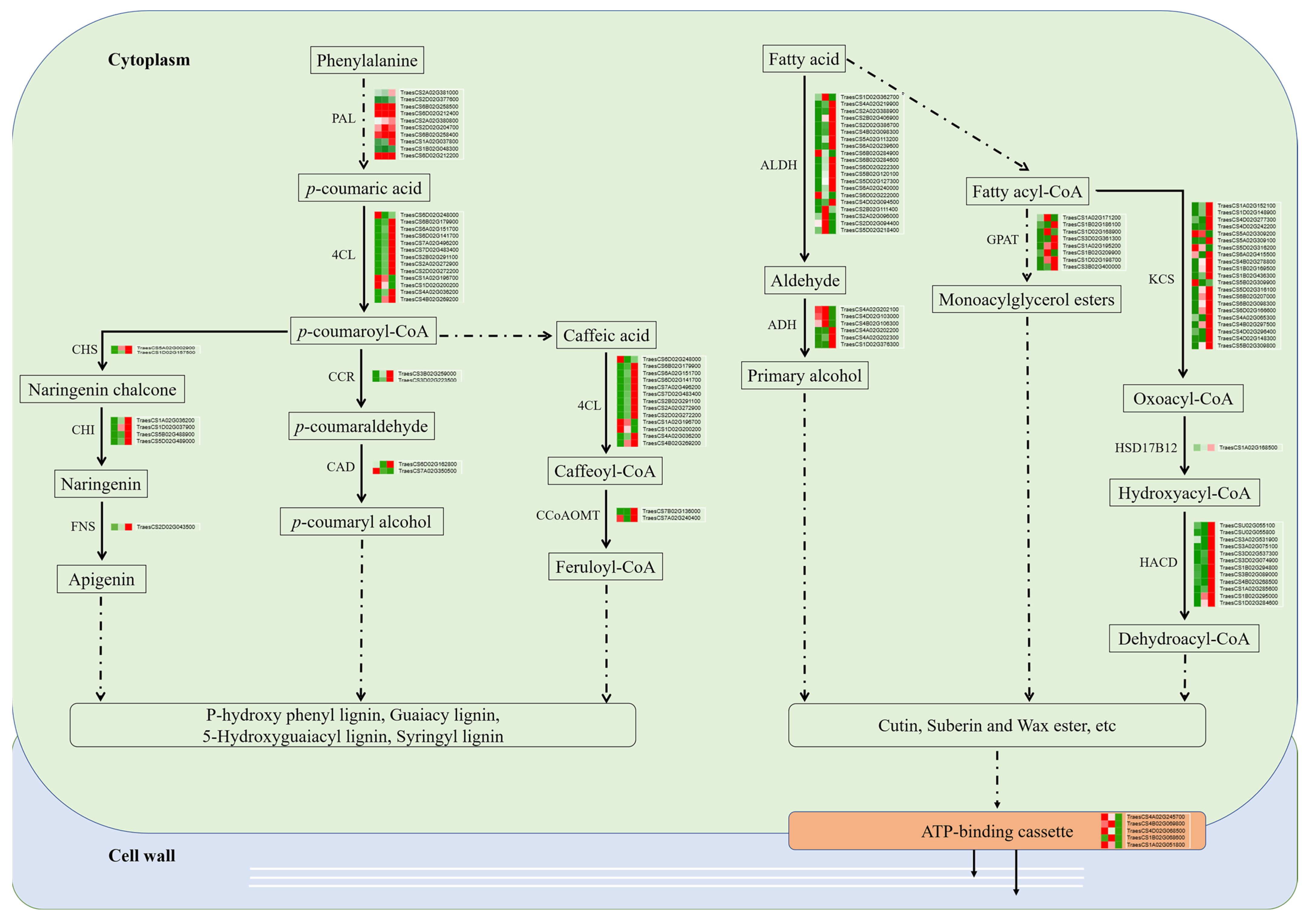 Ijms 24 11666 g008 Ijms 24 11666 g008