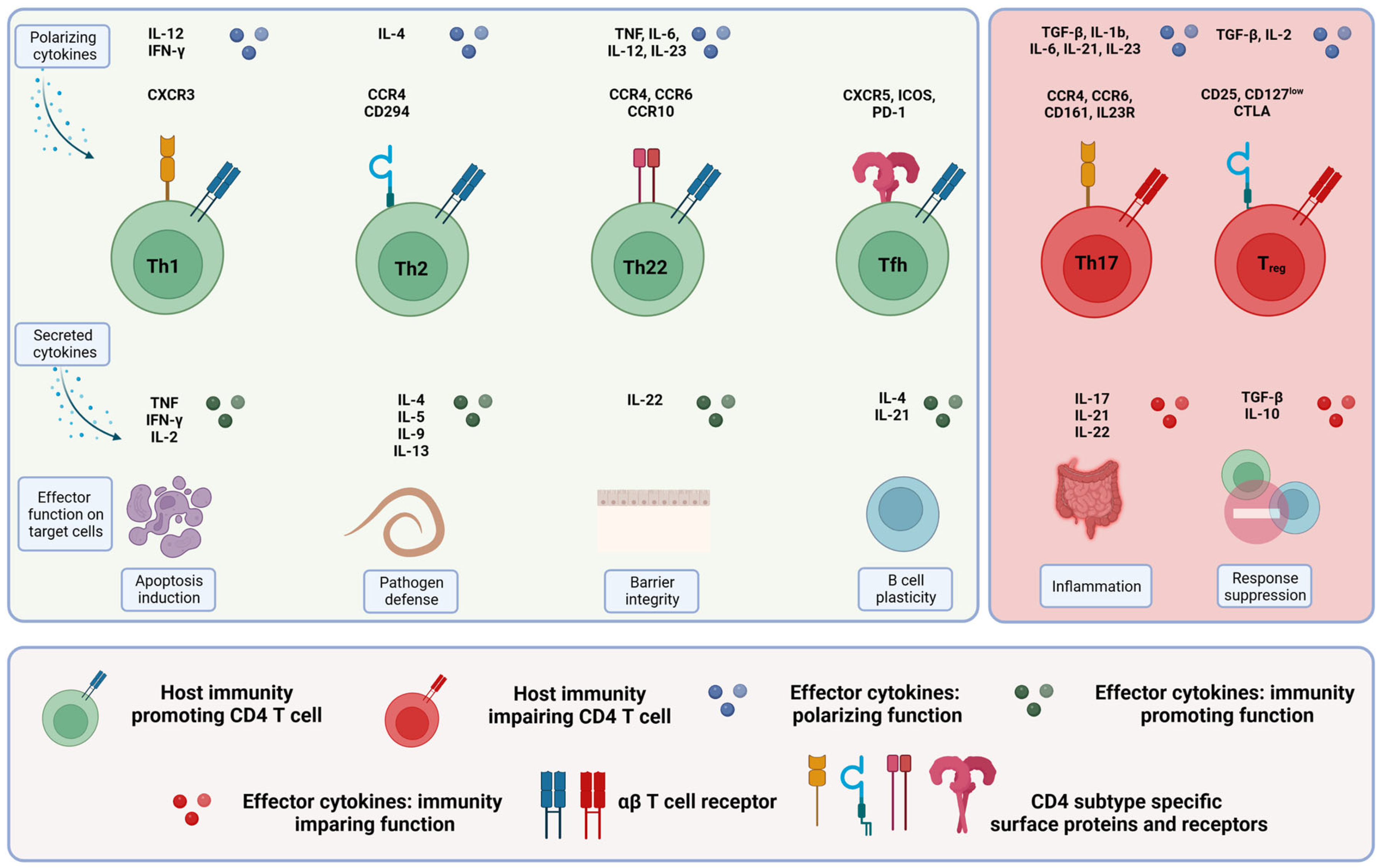 Ijms 24 11673 g002 Ijms 24 11673 g002