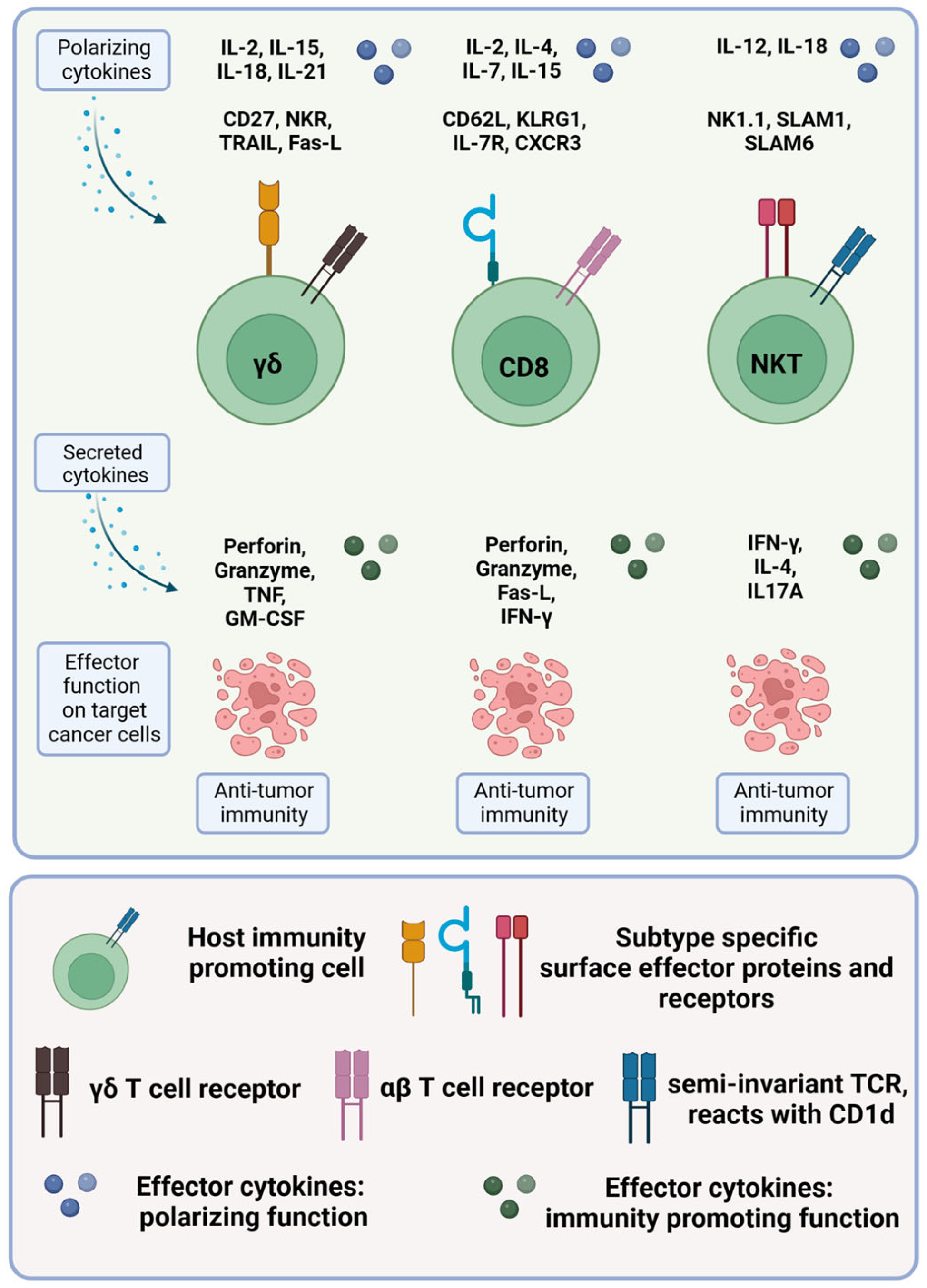 Ijms 24 11673 g003 Ijms 24 11673 g003