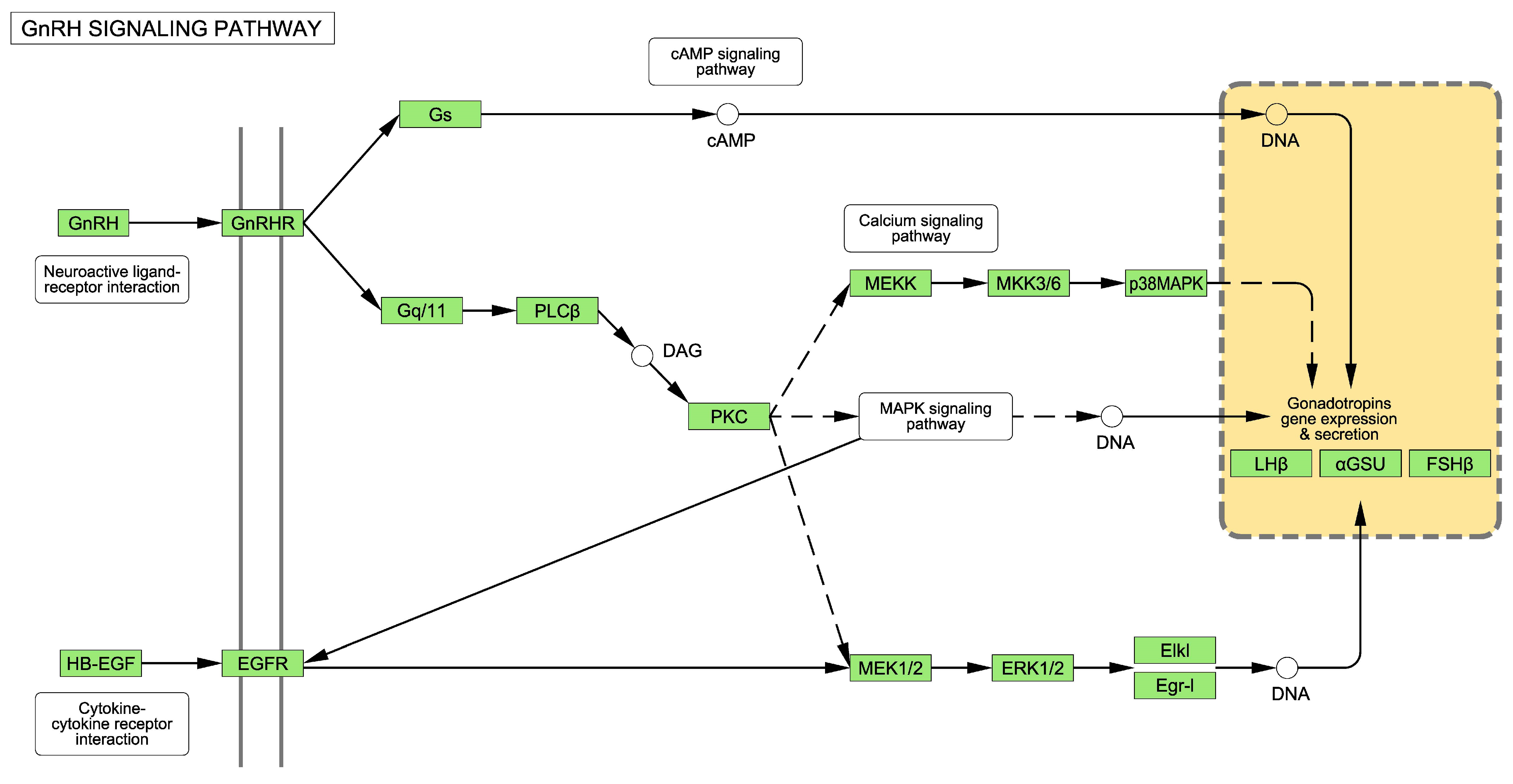 Ijms 24 11687 g002 Ijms 24 11687 g002