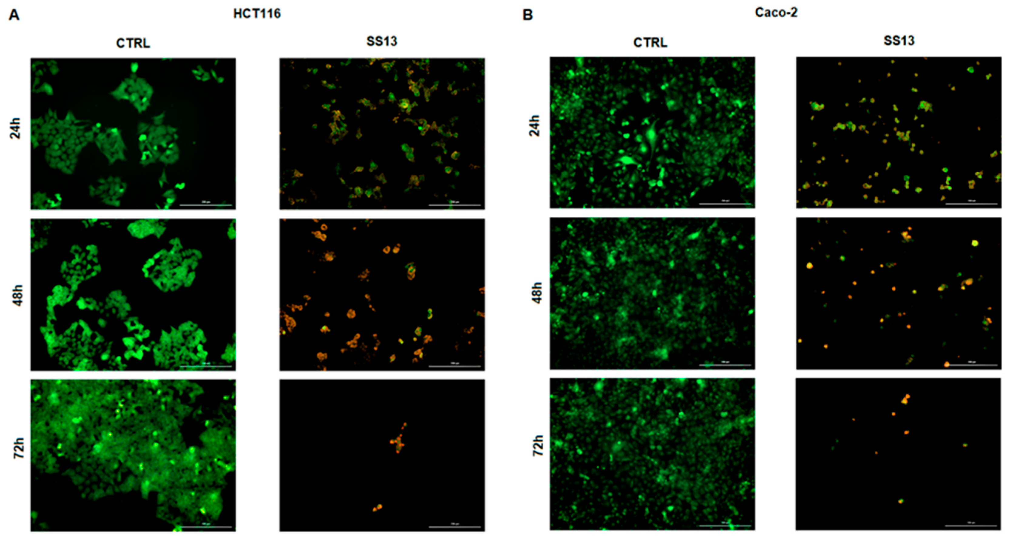 Ijms 24 11696 g003 Ijms 24 11696 g003