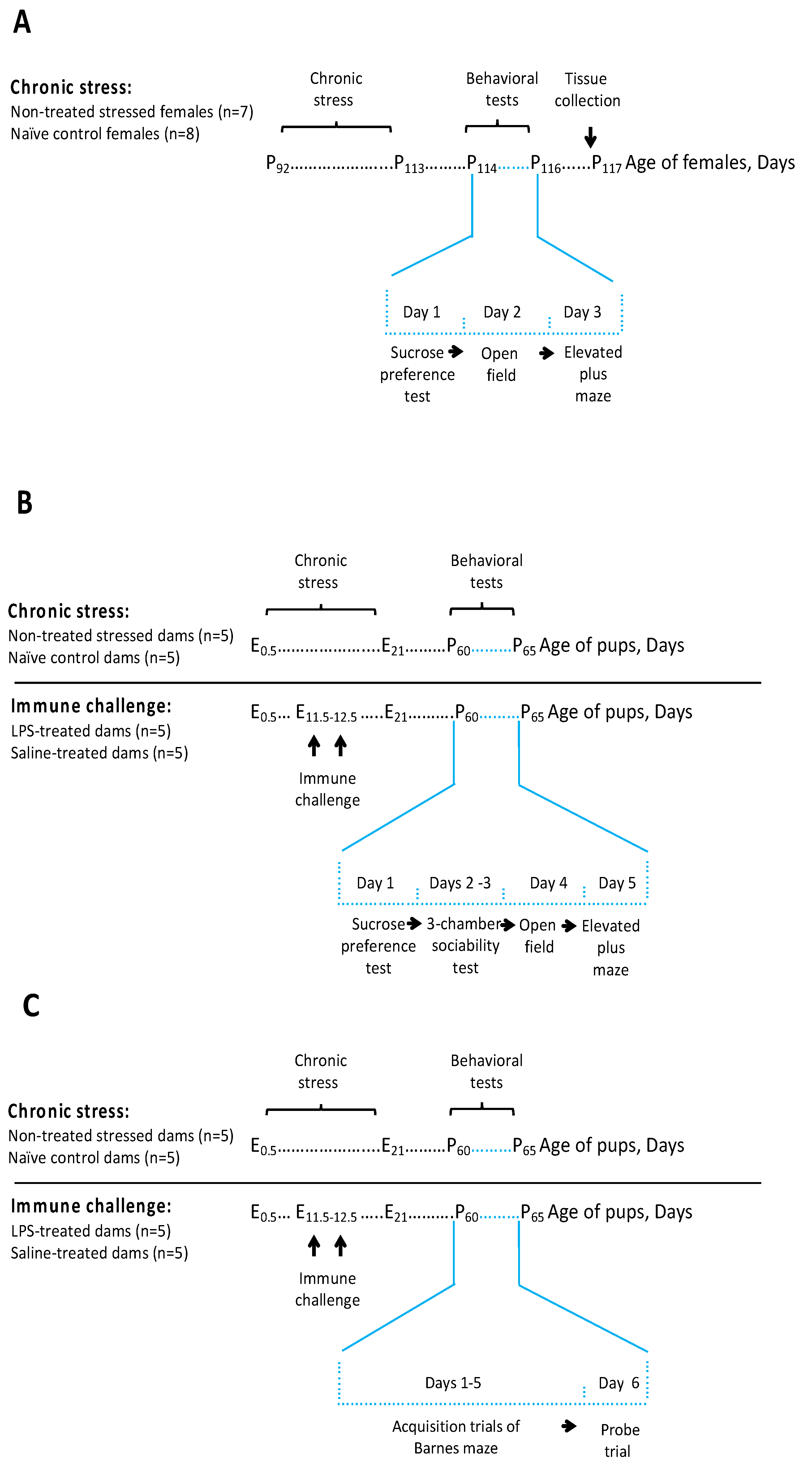 Ijms 24 11712 g001 Ijms 24 11712 g001