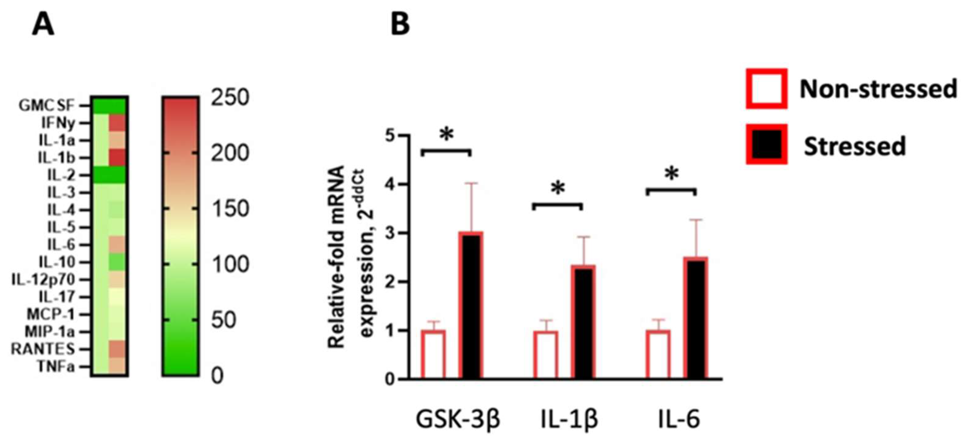 Ijms 24 11712 g003 Ijms 24 11712 g003