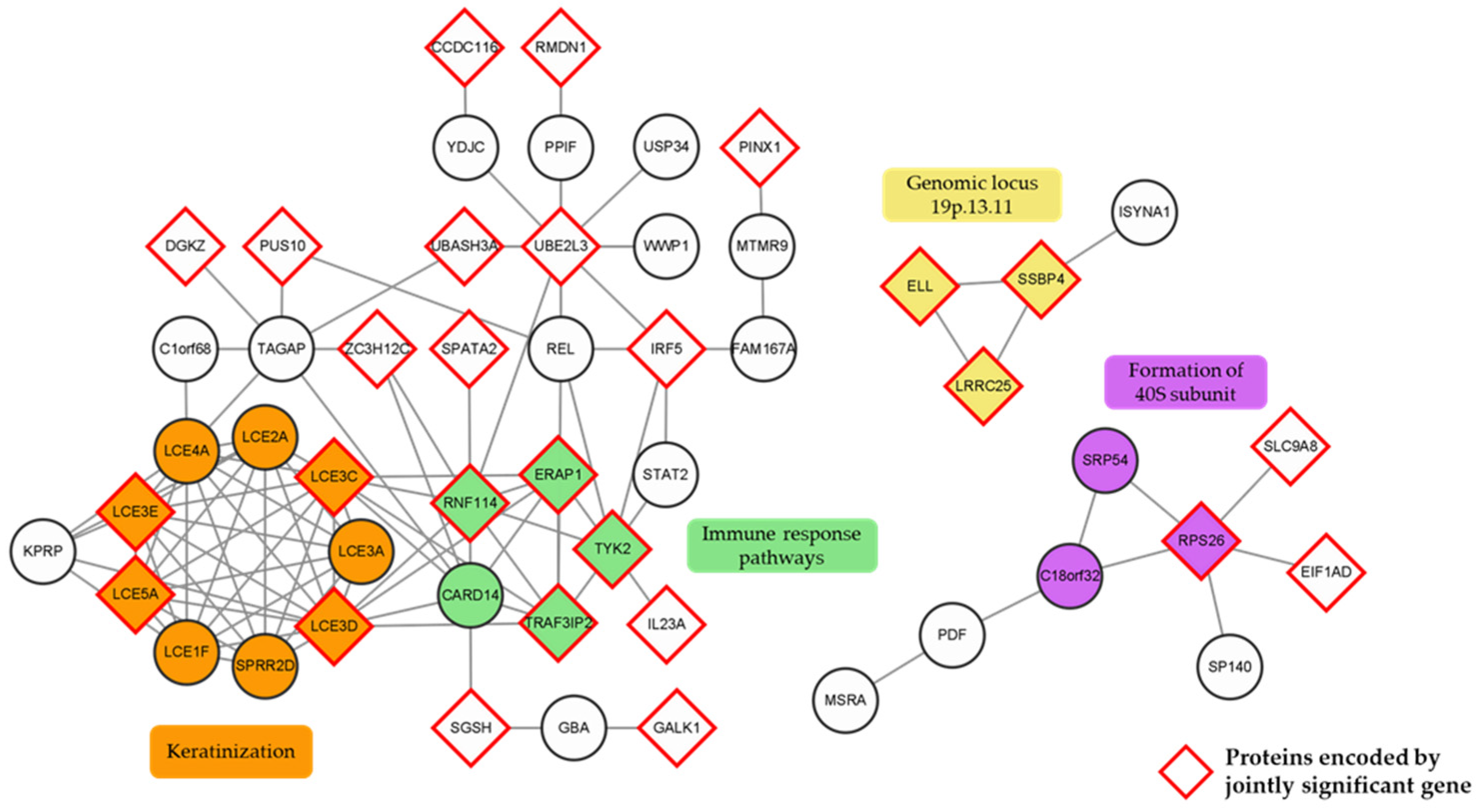 Ijms 24 11717 g006 Ijms 24 11717 g006