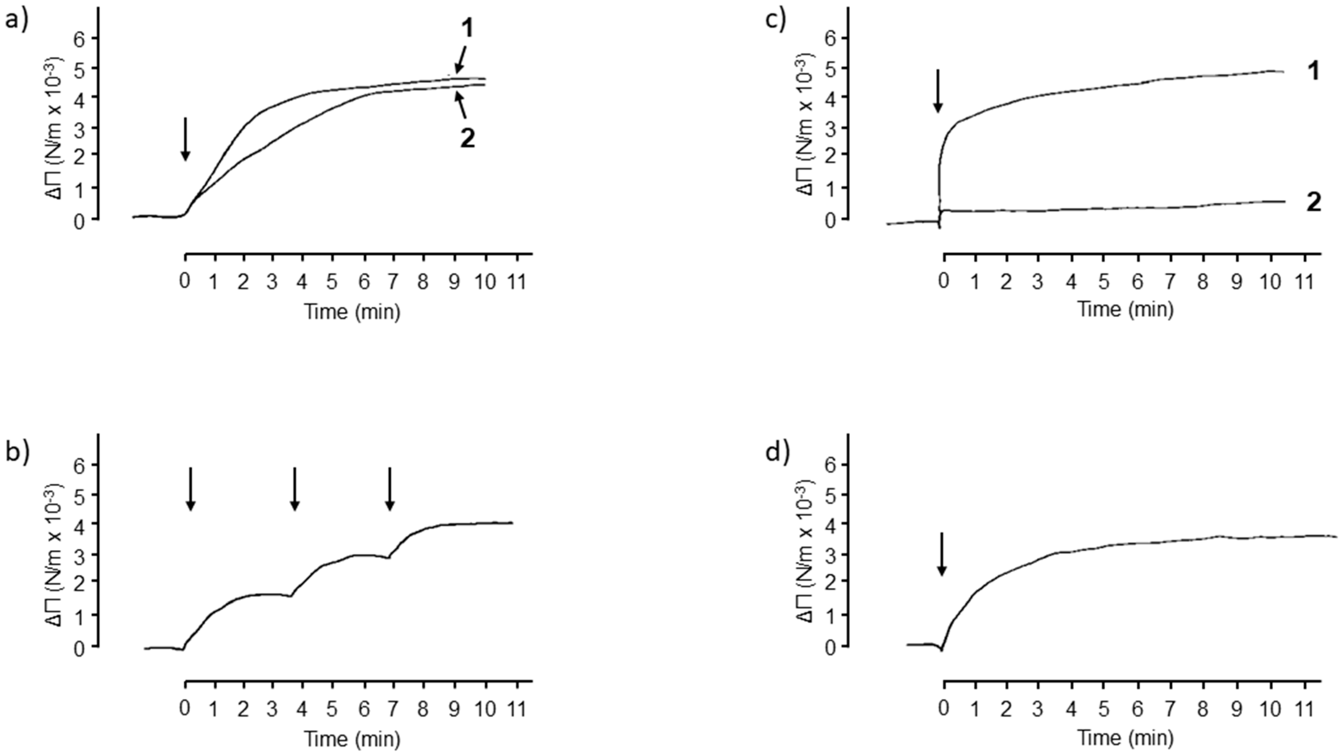 Ijms 24 11730 g007 Ijms 24 11730 g007