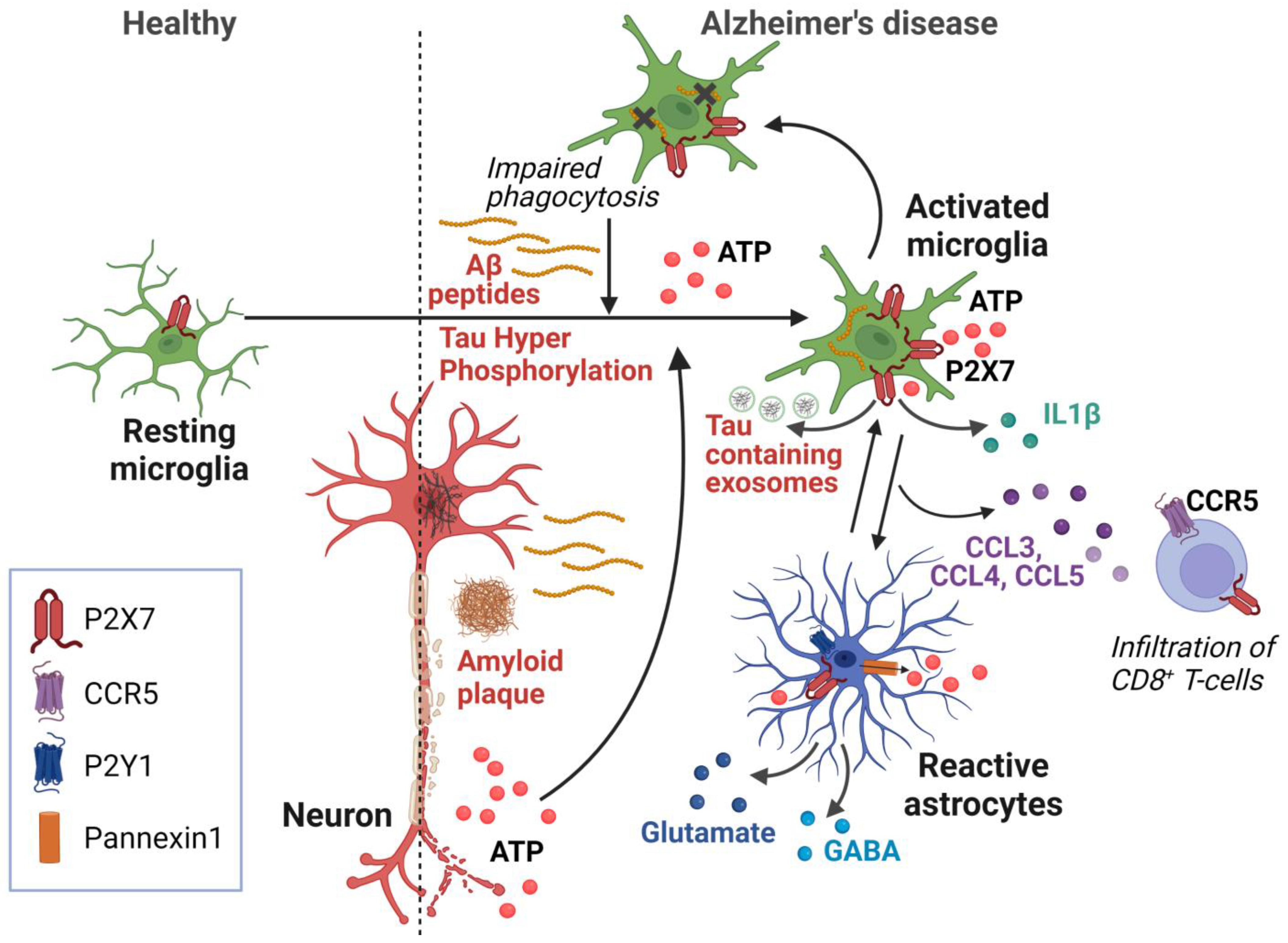 Ijms 24 11747 g001 Ijms 24 11747 g001