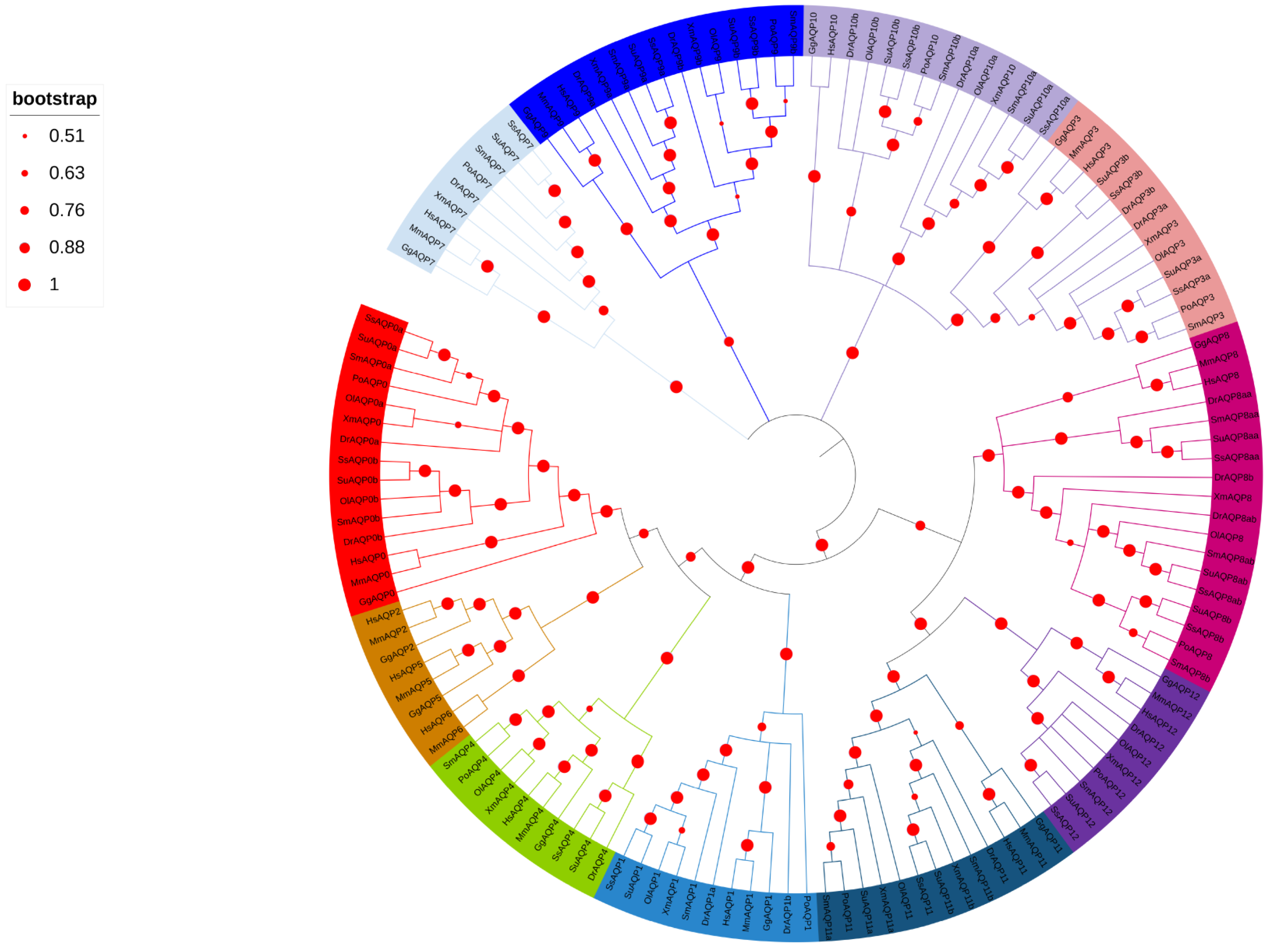 Ijms 24 11770 g001 Ijms 24 11770 g001