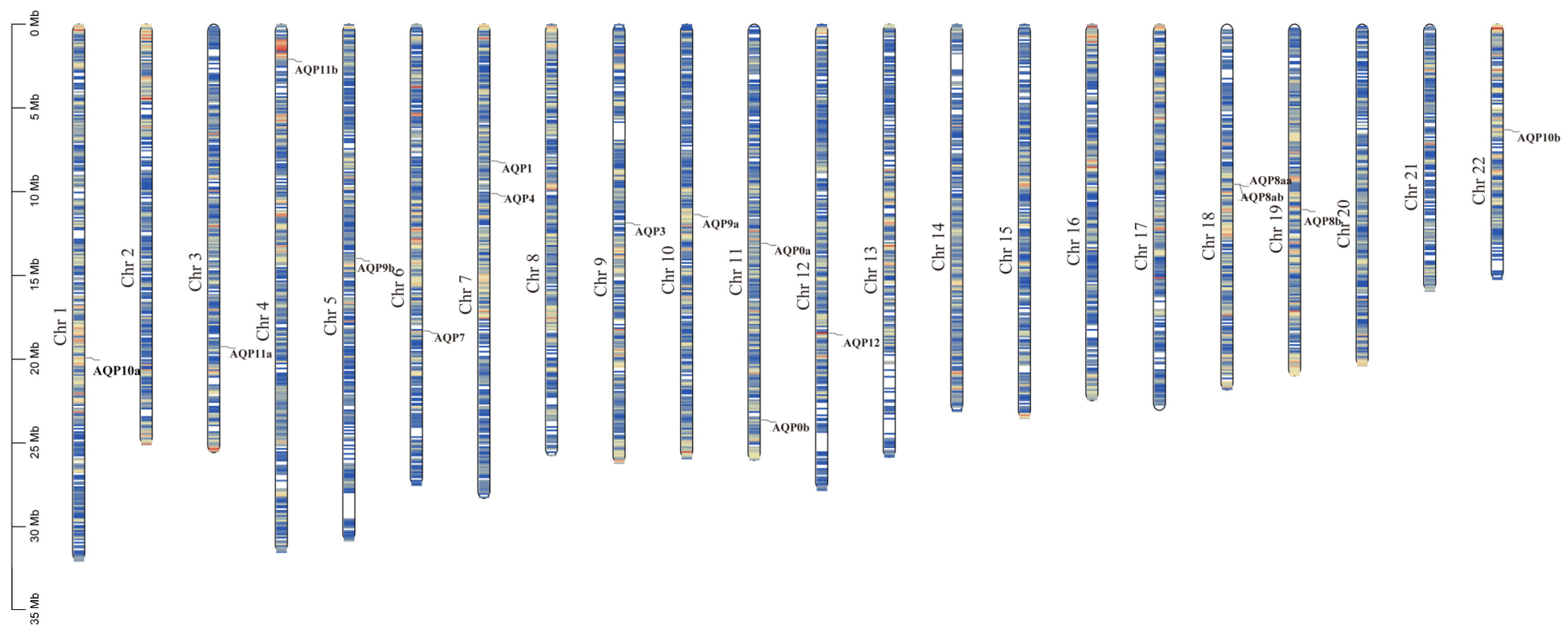 Ijms 24 11770 g003 Ijms 24 11770 g003