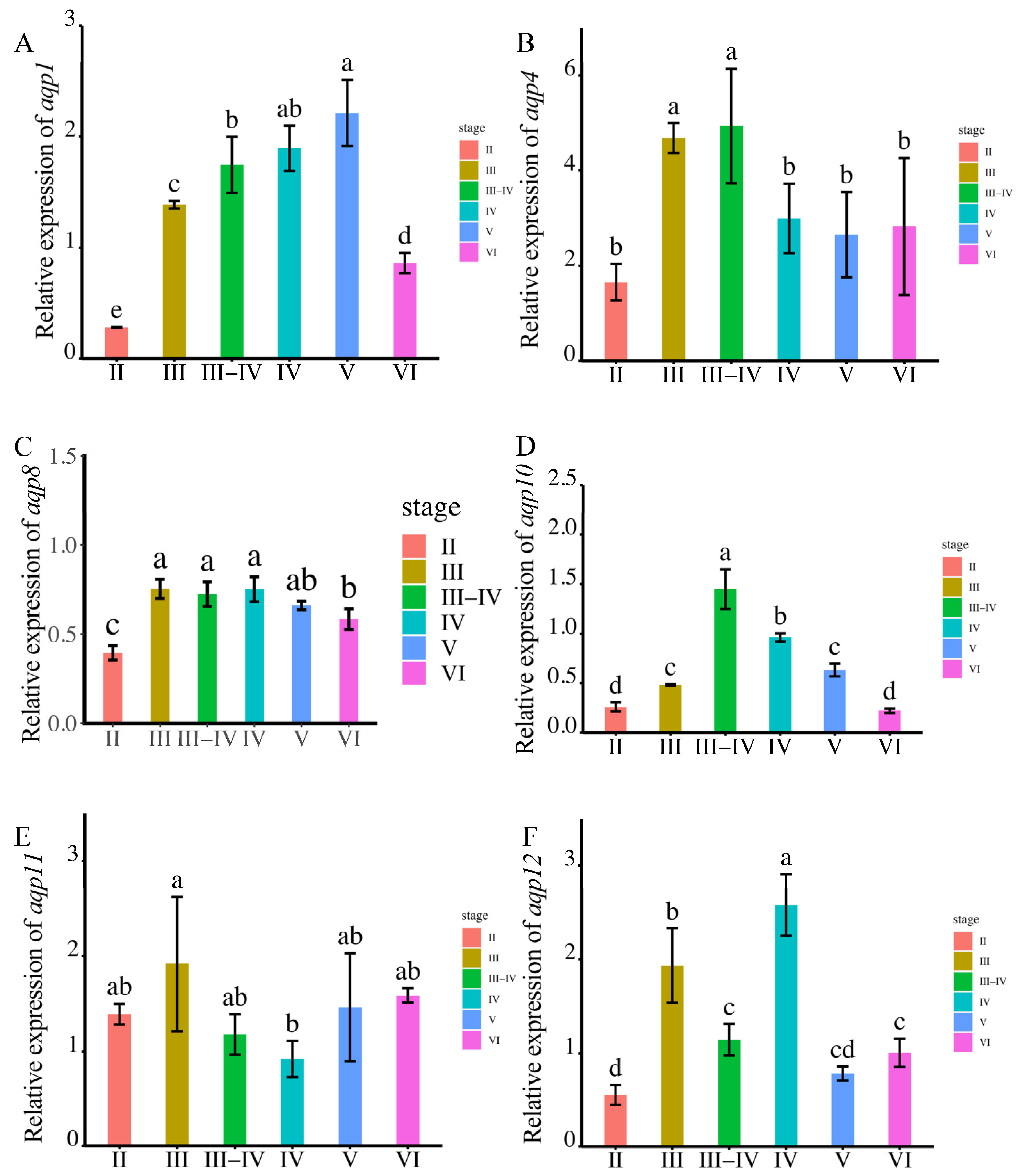 Ijms 24 11770 g005 Ijms 24 11770 g005