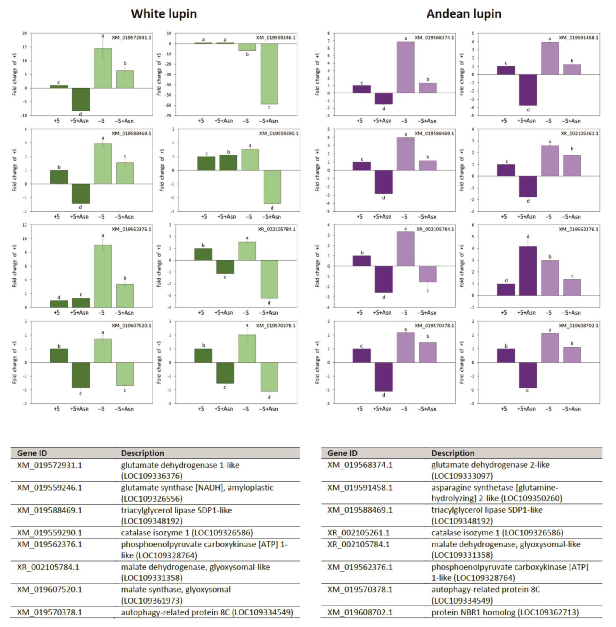 Ijms 24 11773 g008 Ijms 24 11773 g008