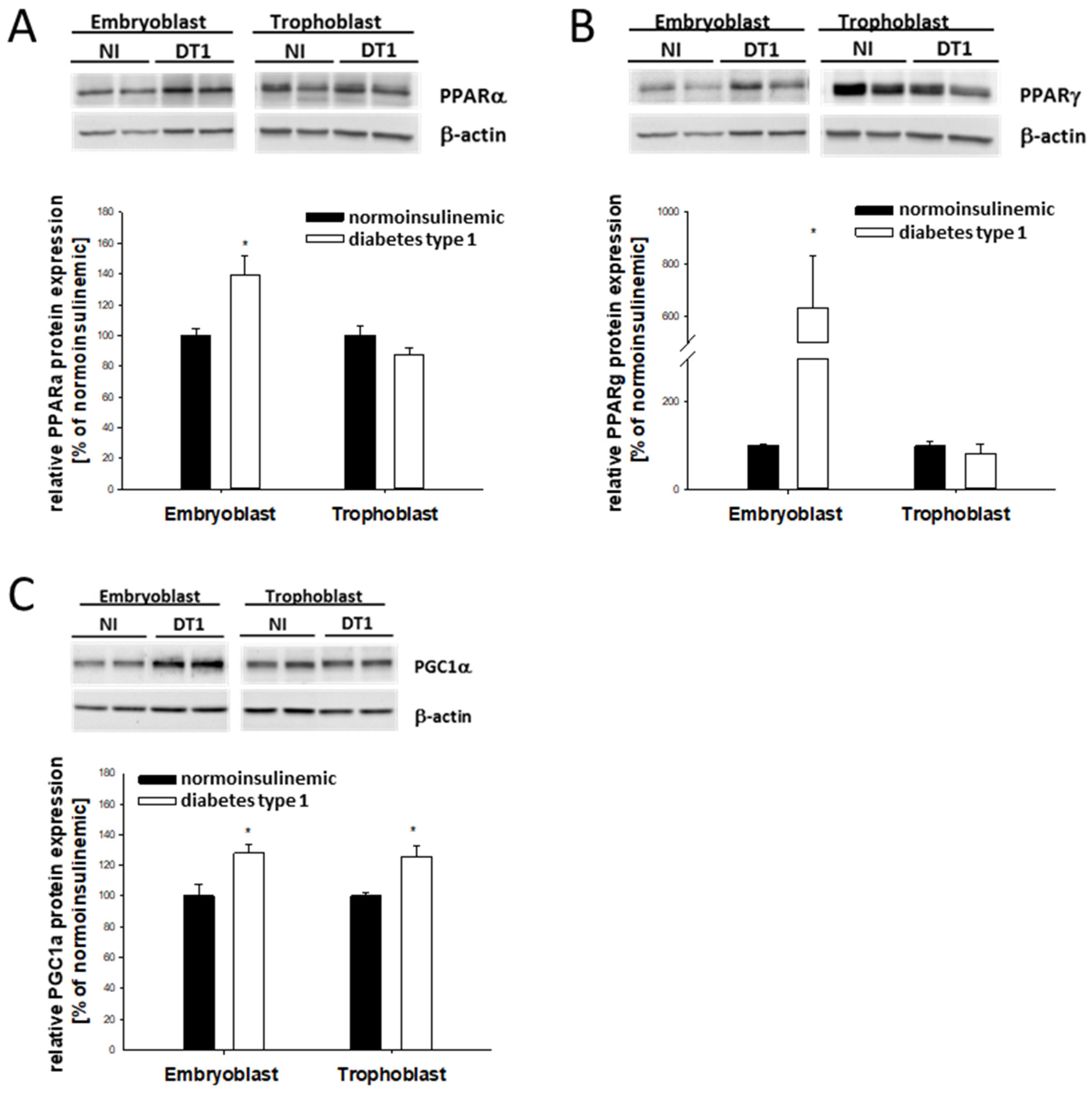 Ijms 24 11776 g002 Ijms 24 11776 g002