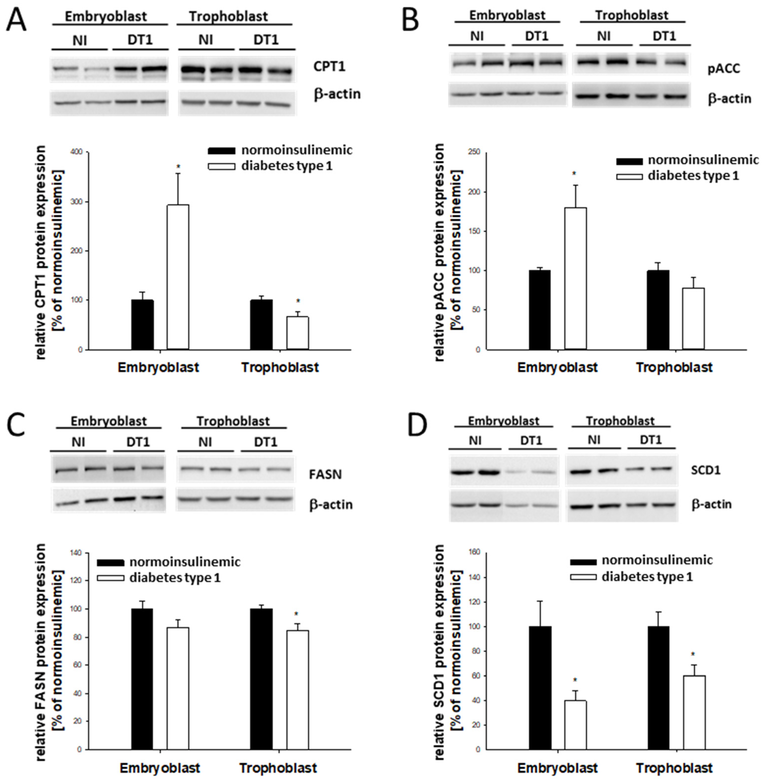 Ijms 24 11776 g003 Ijms 24 11776 g003