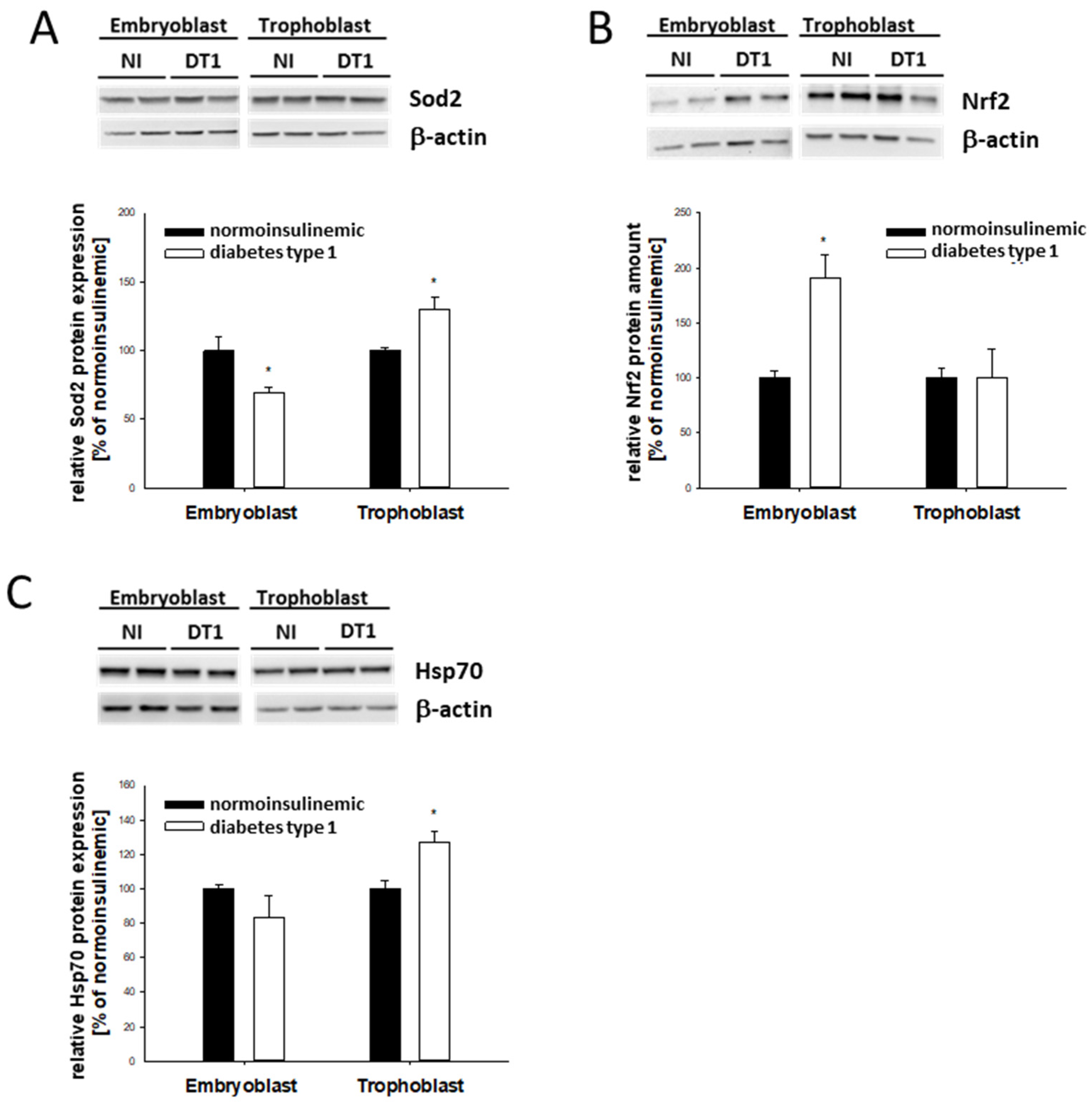 Ijms 24 11776 g004 Ijms 24 11776 g004