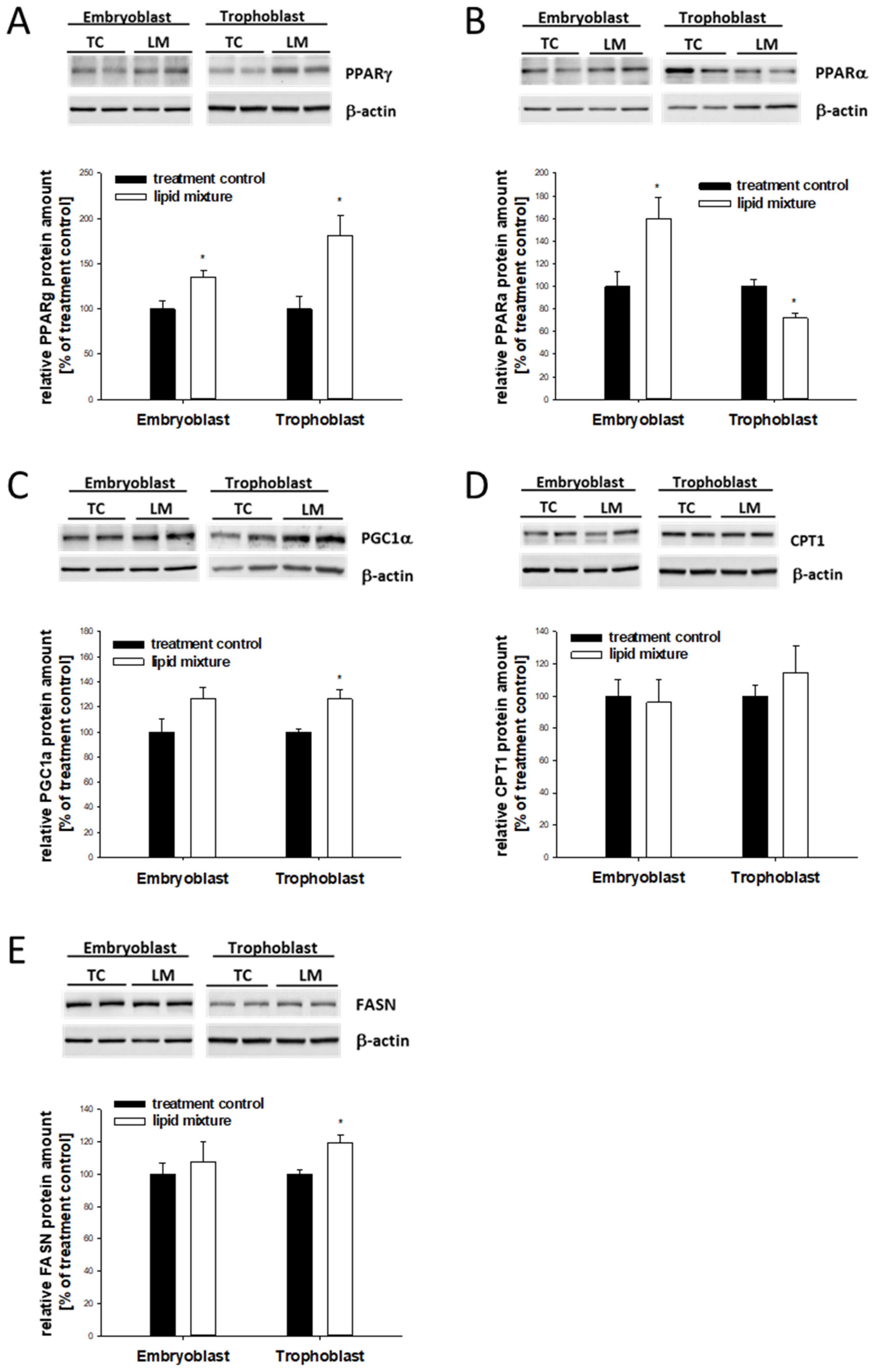 Ijms 24 11776 g006 Ijms 24 11776 g006