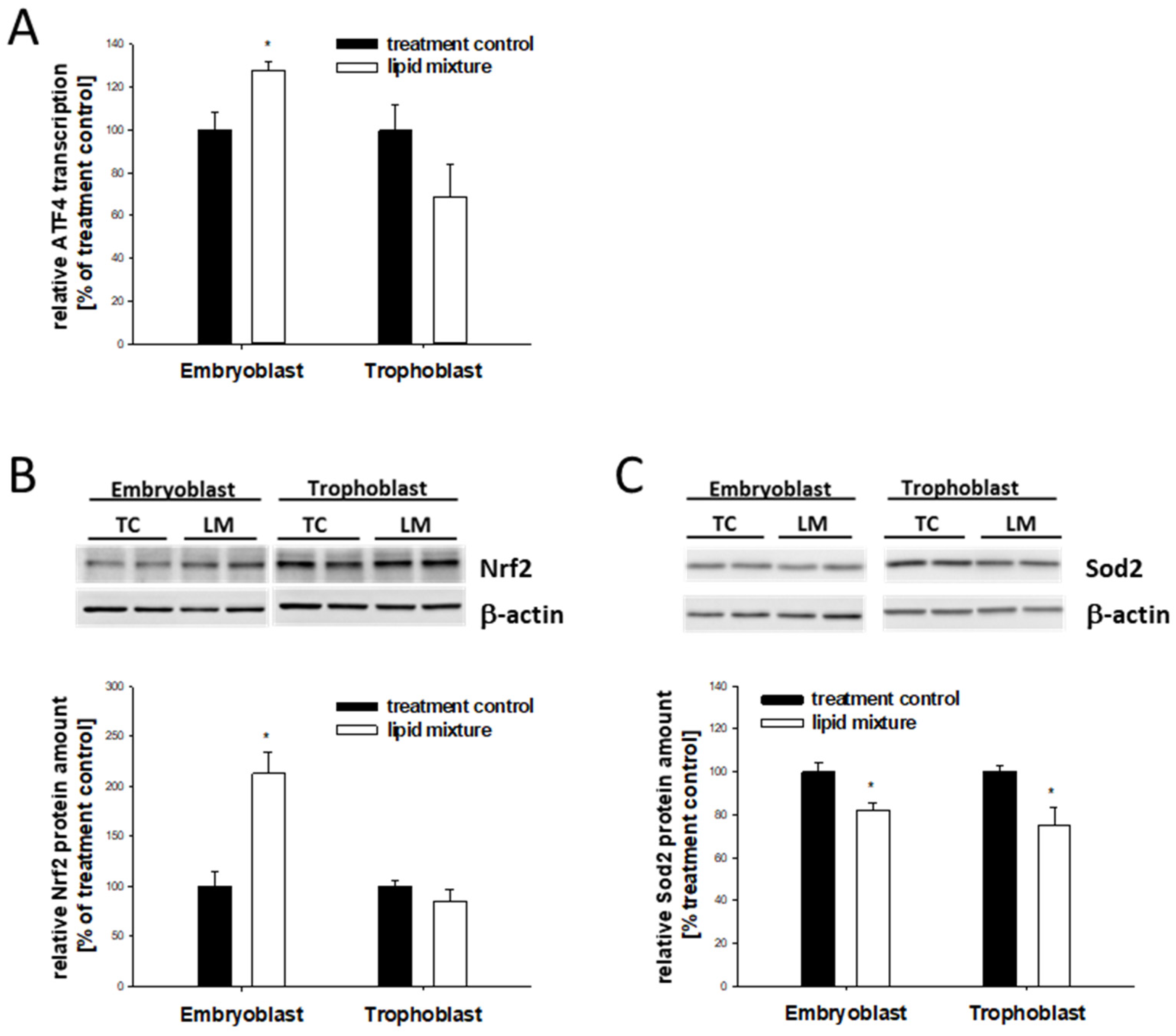 Ijms 24 11776 g007 Ijms 24 11776 g007
