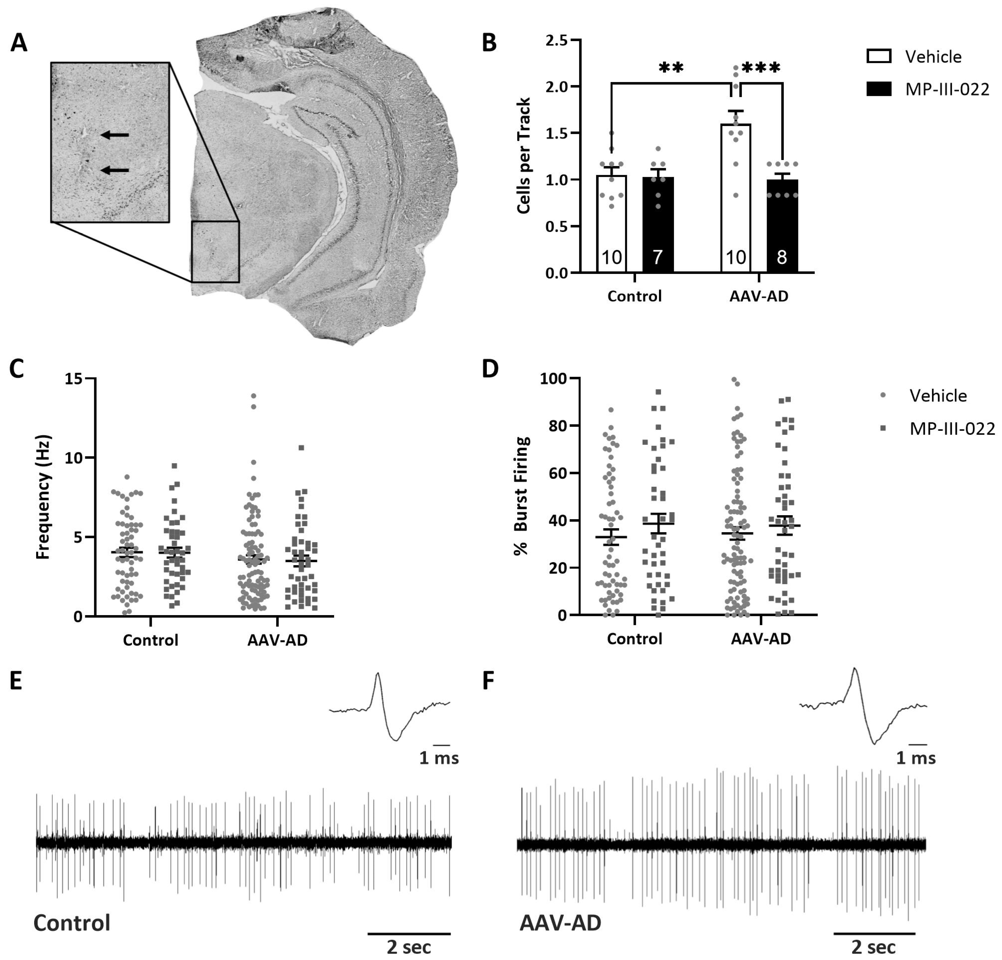 Ijms 24 11788 g002 Ijms 24 11788 g002
