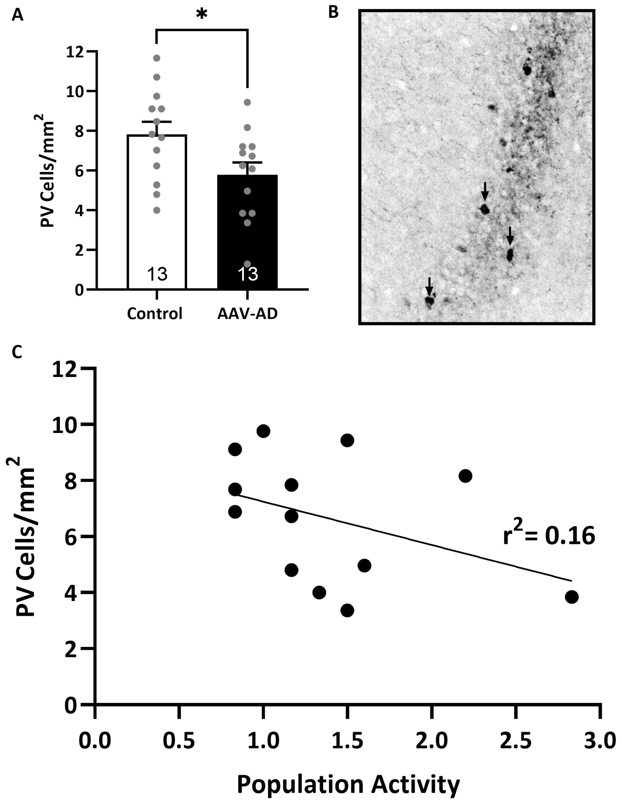 Ijms 24 11788 g004 Ijms 24 11788 g004
