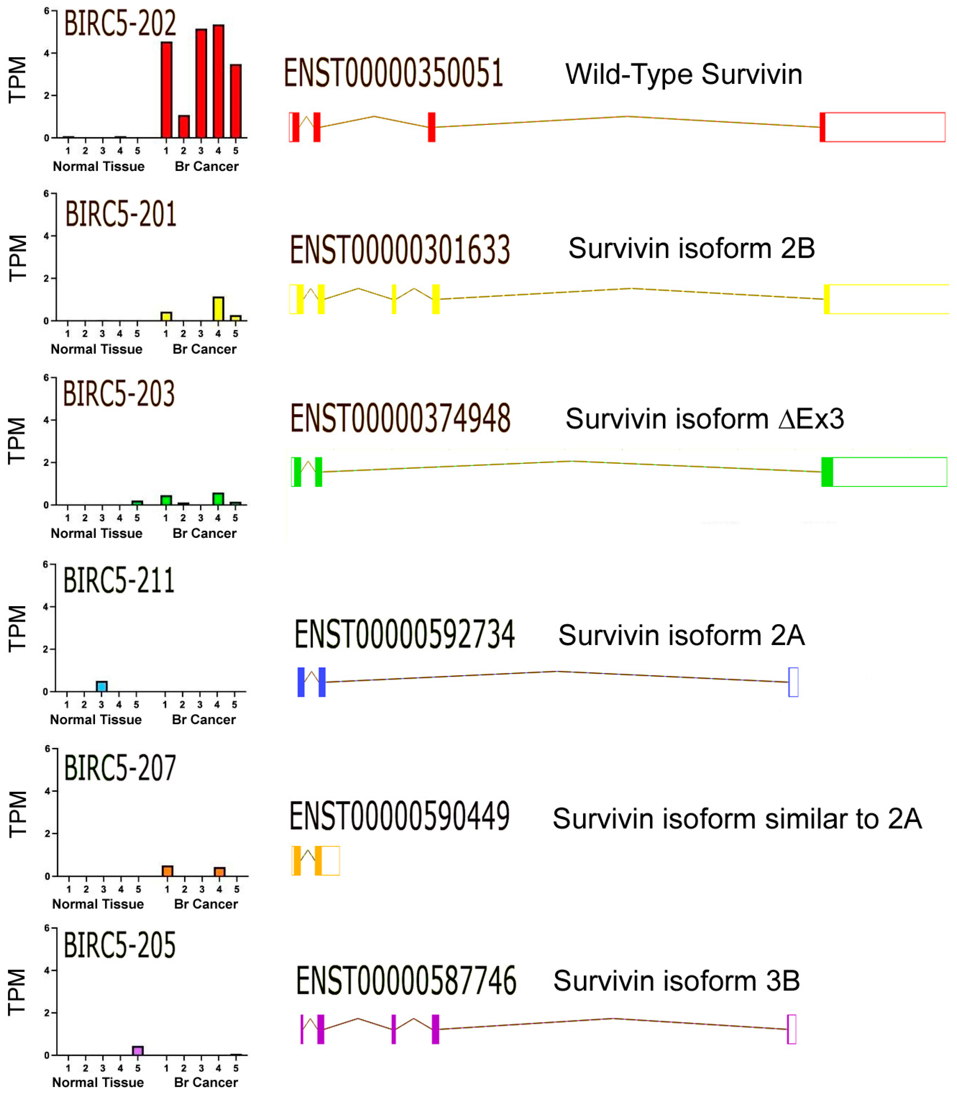 Ijms 24 11827 g002 Ijms 24 11827 g002