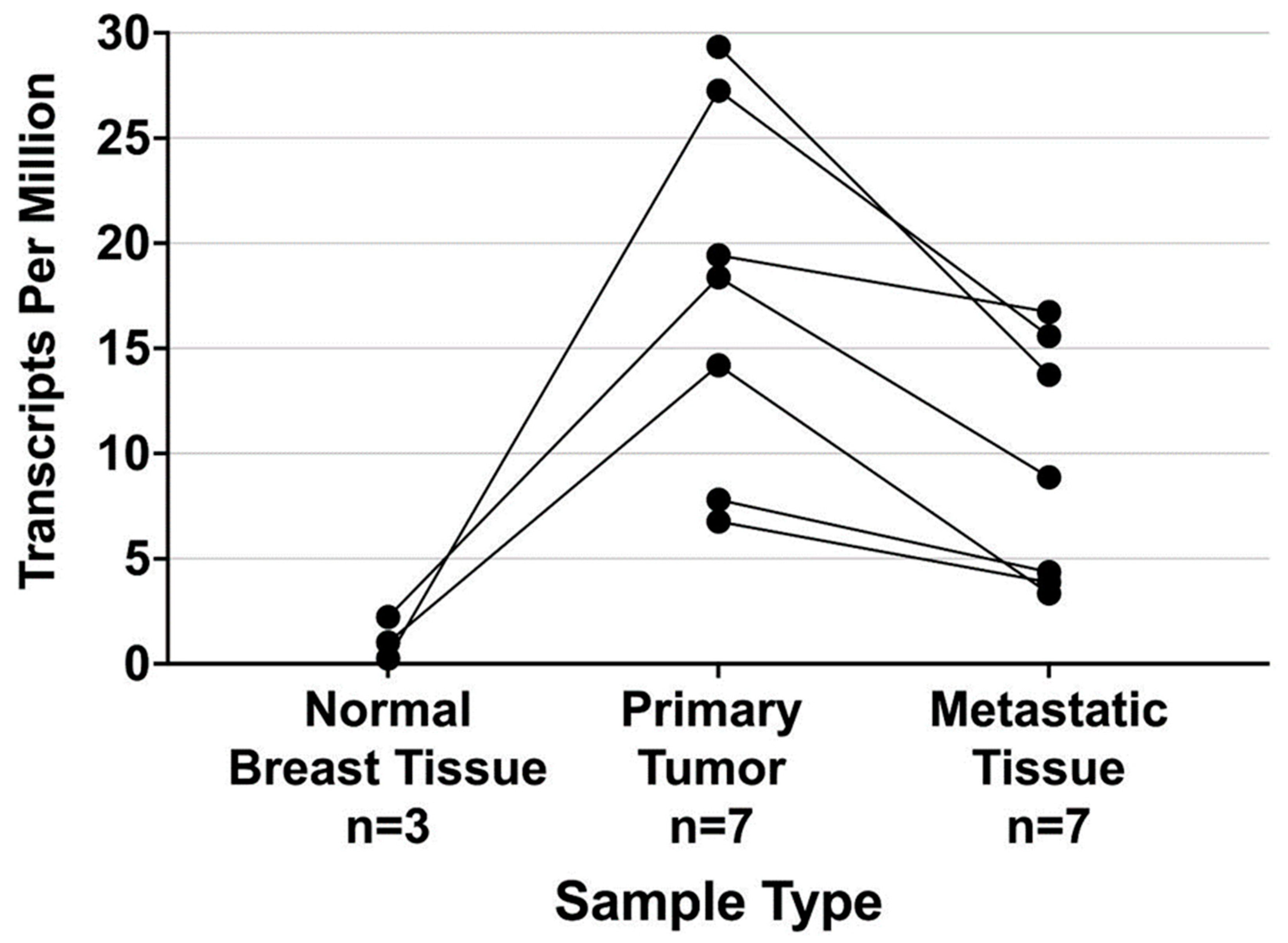 Ijms 24 11827 g004 Ijms 24 11827 g004