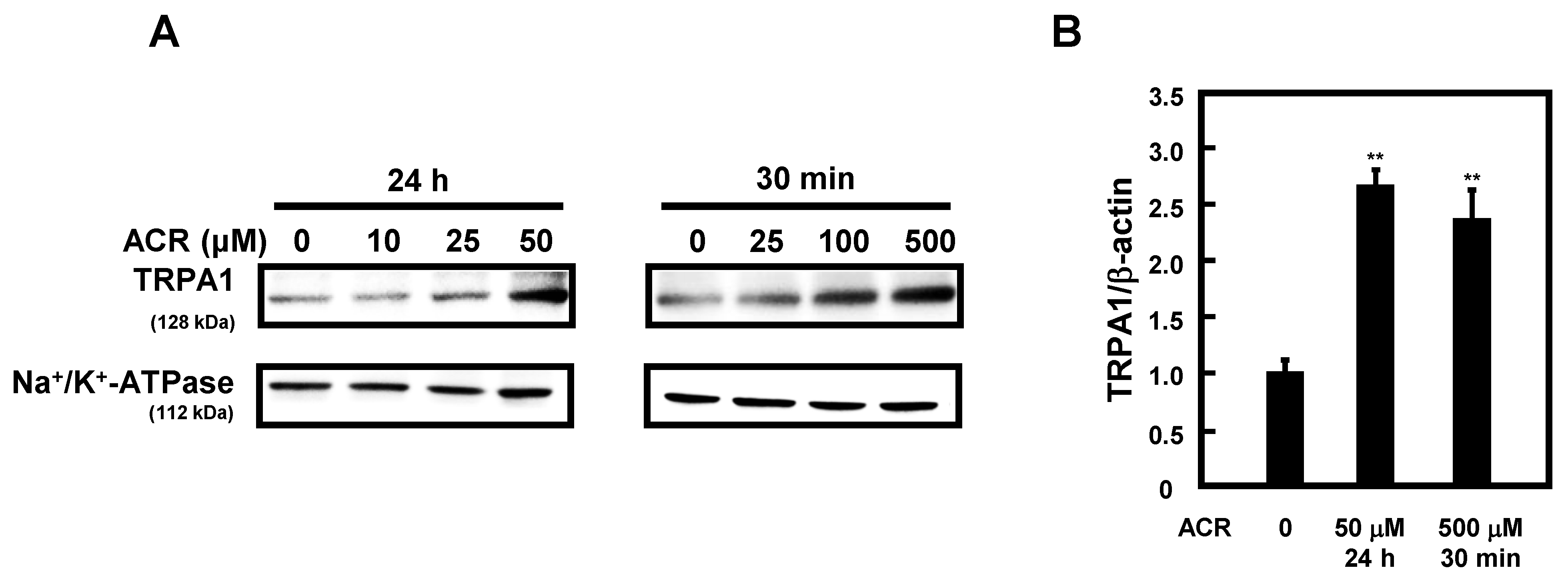 Ijms 24 11847 g002 Ijms 24 11847 g002