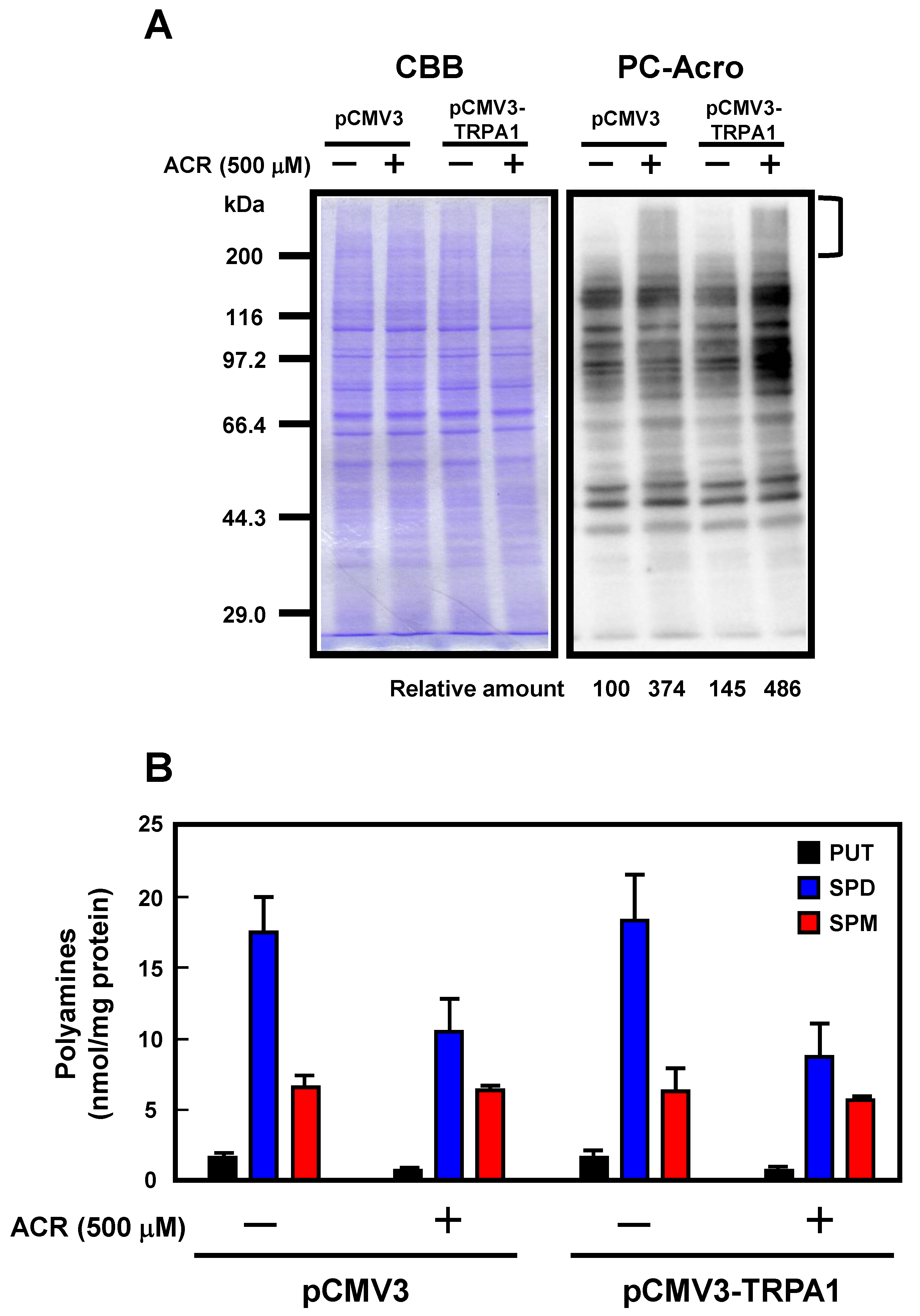 Ijms 24 11847 g005 Ijms 24 11847 g005