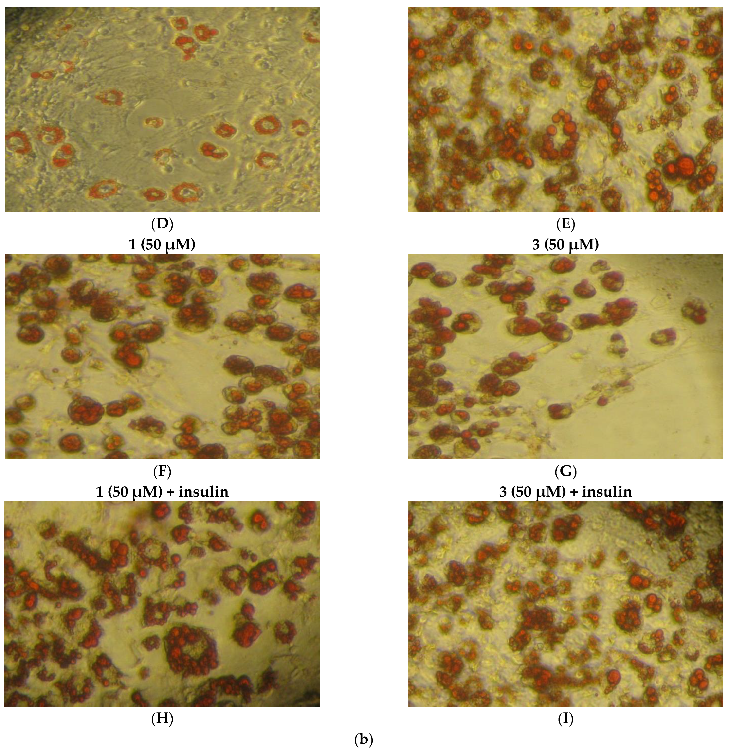 Ijms 24 11865 g009b Ijms 24 11865 g009b