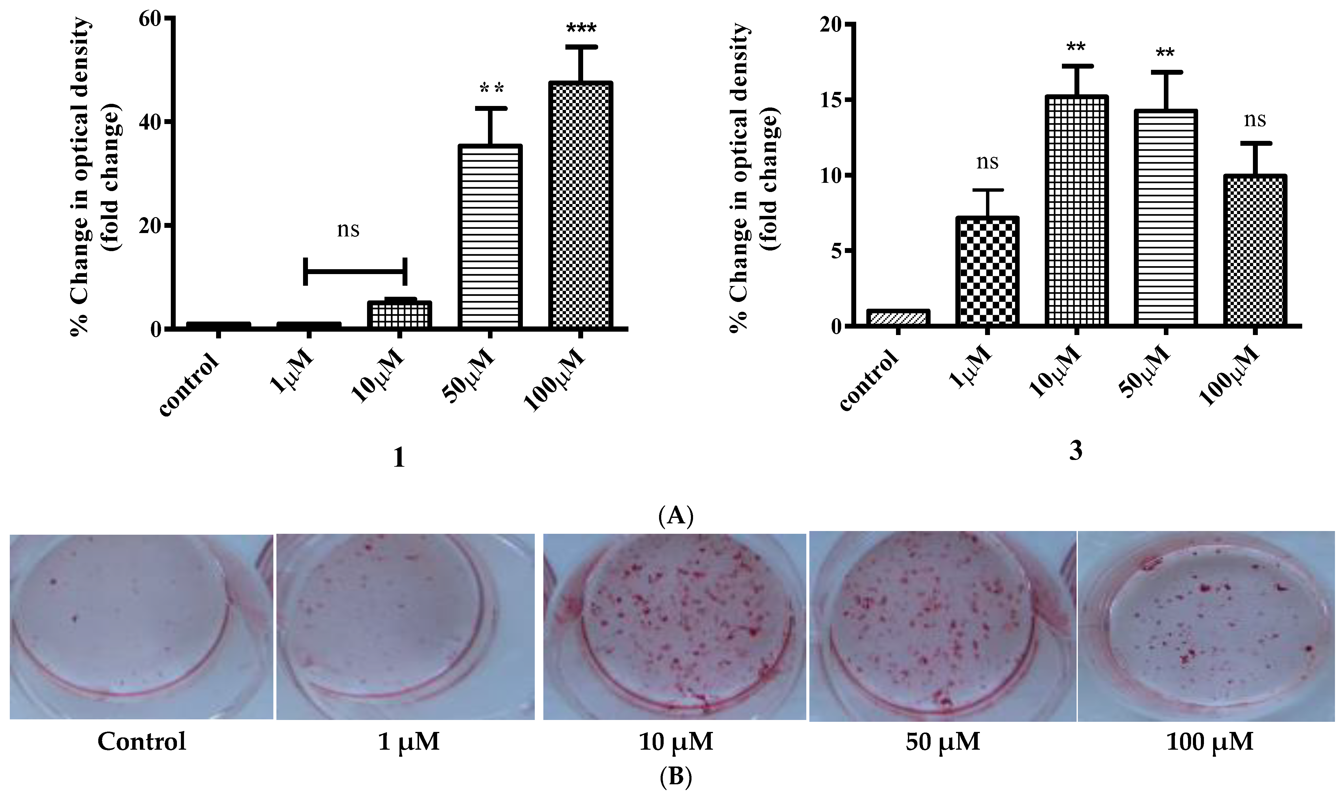 Ijms 24 11865 g011 Ijms 24 11865 g011