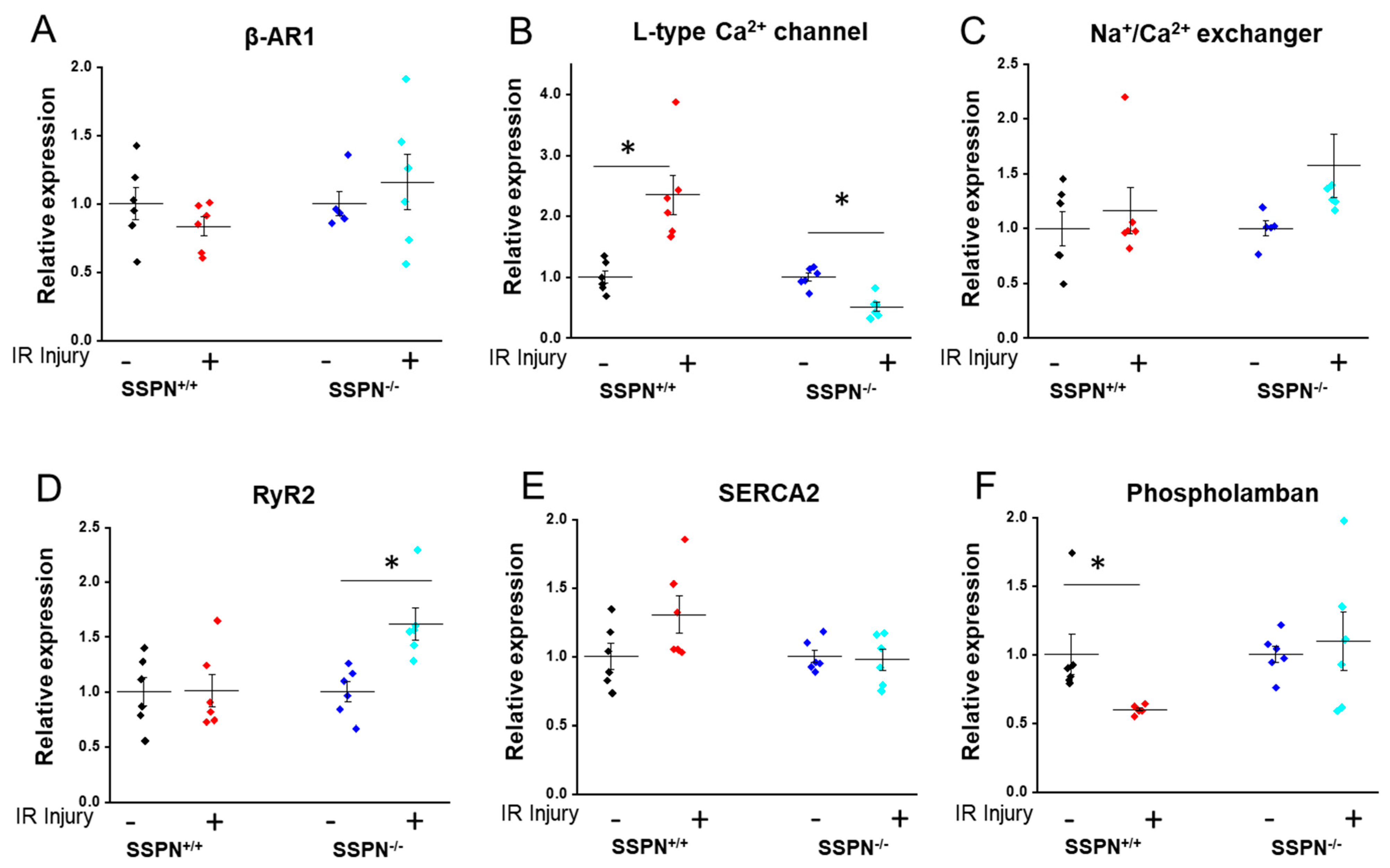 Ijms 24 11868 g004 Ijms 24 11868 g004