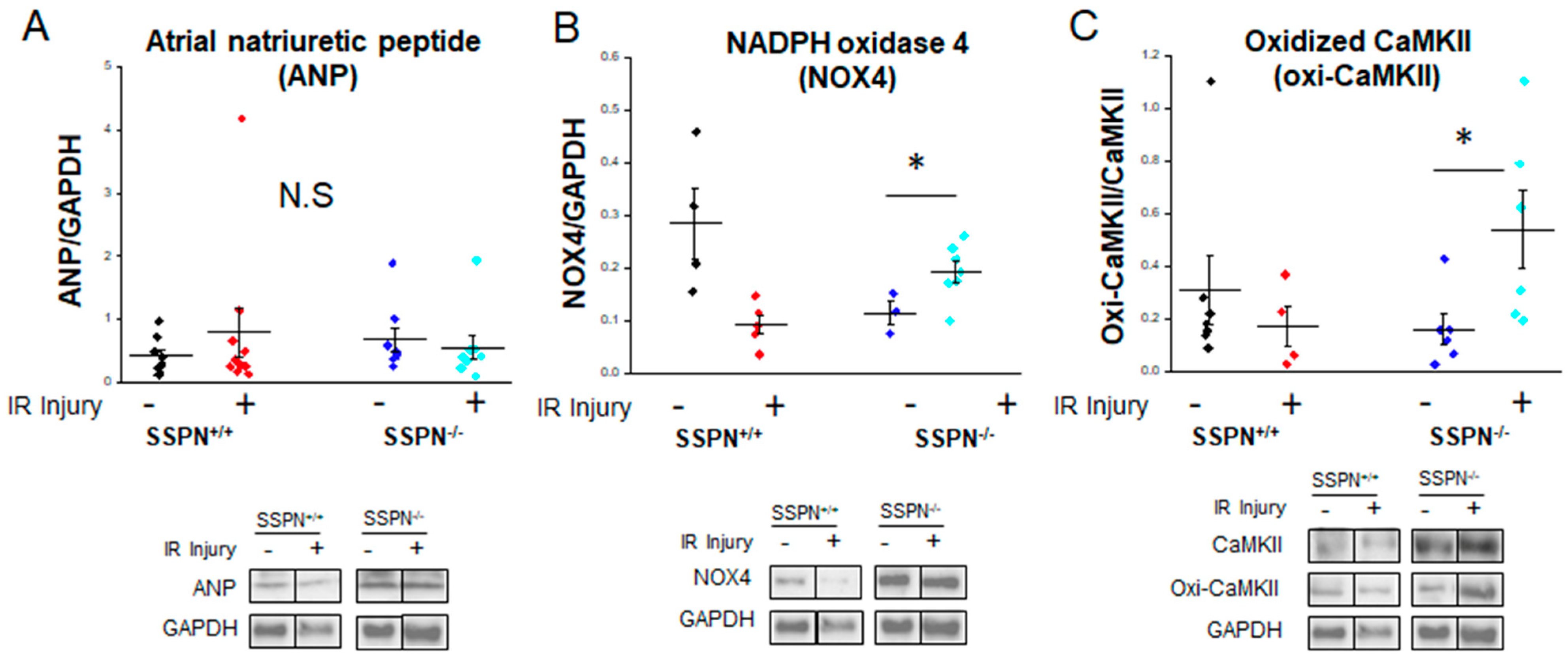 Ijms 24 11868 g006 Ijms 24 11868 g006