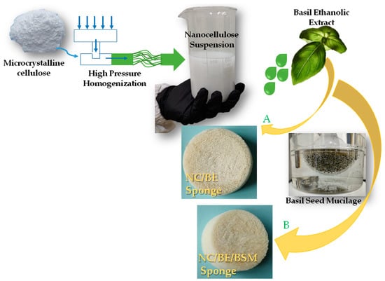 IJMS Free Full Text Nanocellulose Sponges Containing