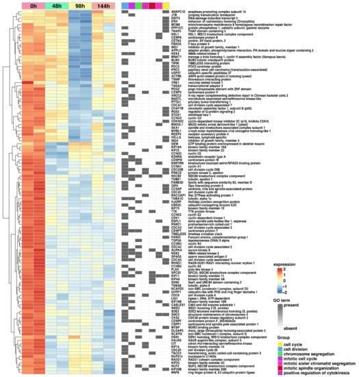 IJMS | Free Full-Text | New Gene Markers of Exosomal Regulation