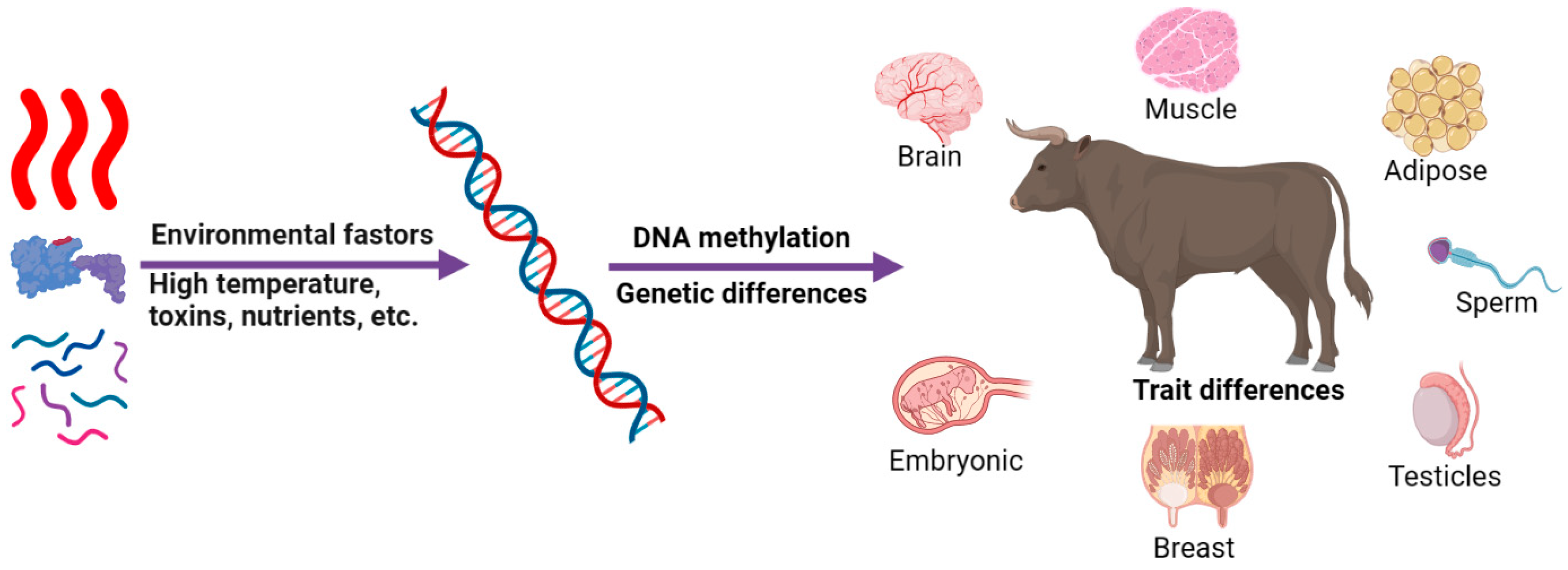 Ijms 24 11882 g002 Ijms 24 11882 g002