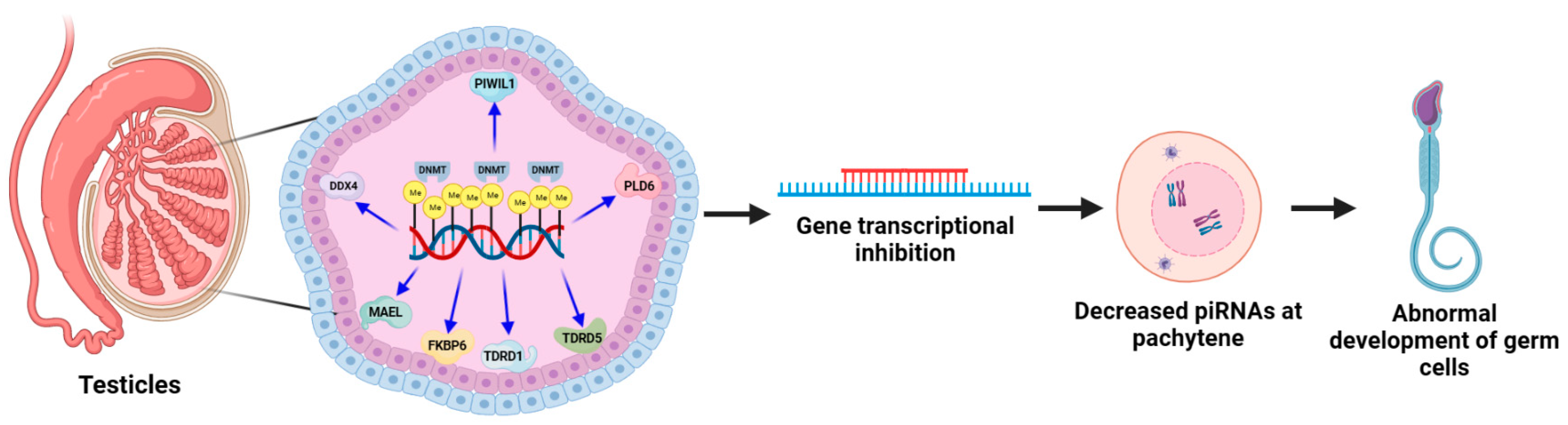 Ijms 24 11882 g004 Ijms 24 11882 g004