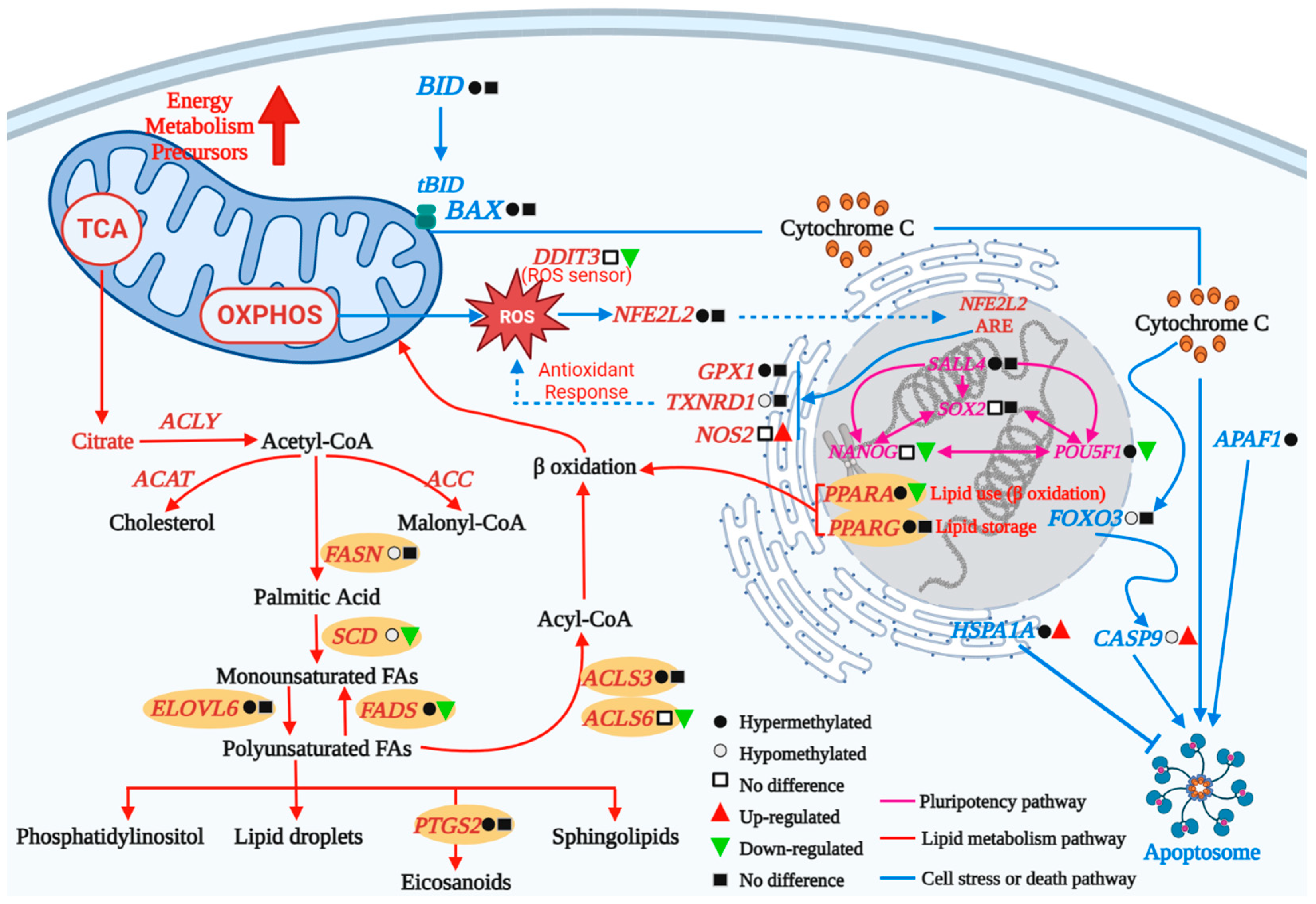 Ijms 24 11882 g006 Ijms 24 11882 g006