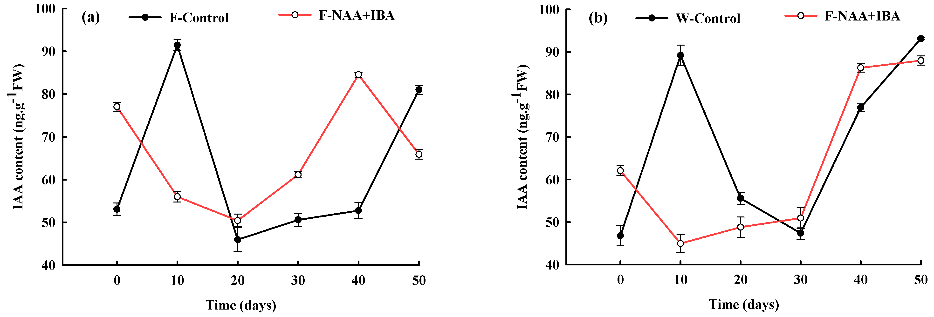 Ijms 24 11883 g001 Ijms 24 11883 g001