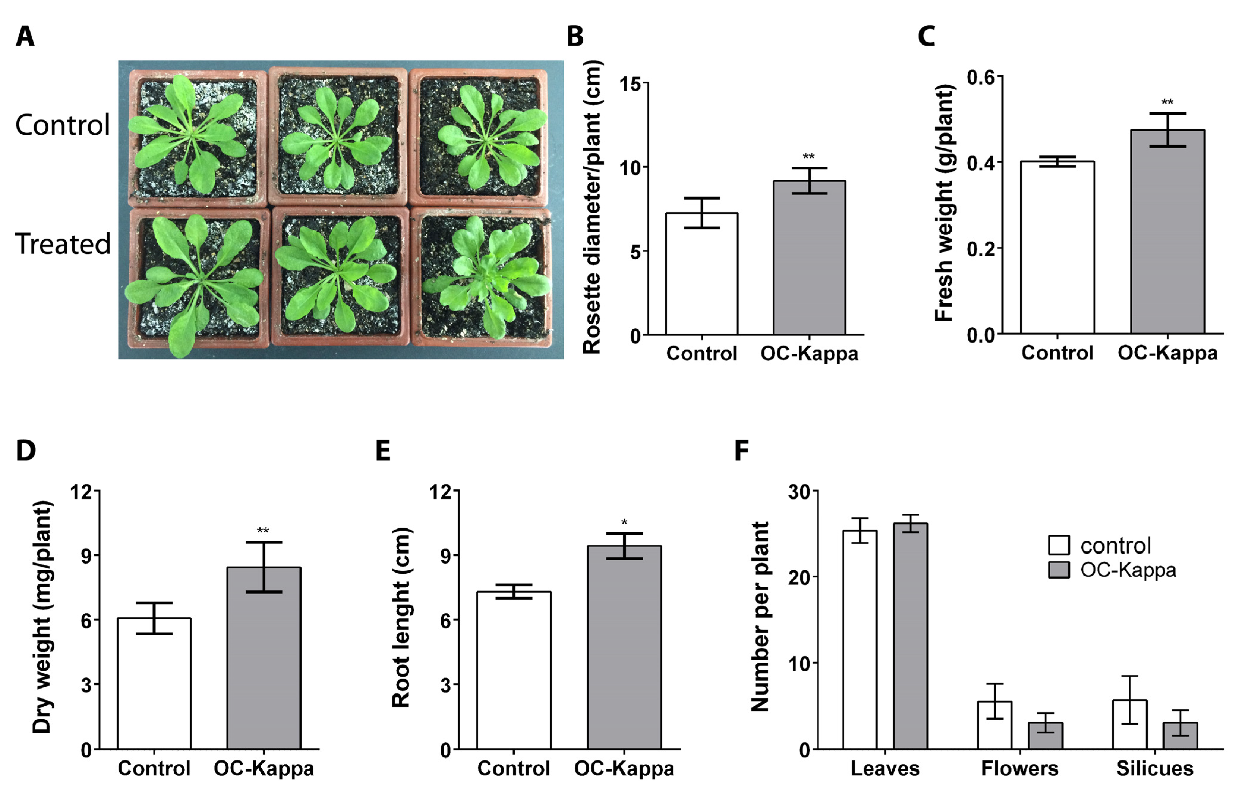 IJMS | Free Full-Text | Oligo-Carrageenan Kappa Increases Expression of  Genes Encoding Proteins Involved in Photosynthesis, C, N, and S  Assimilation, and Growth in Arabidopsis thaliana