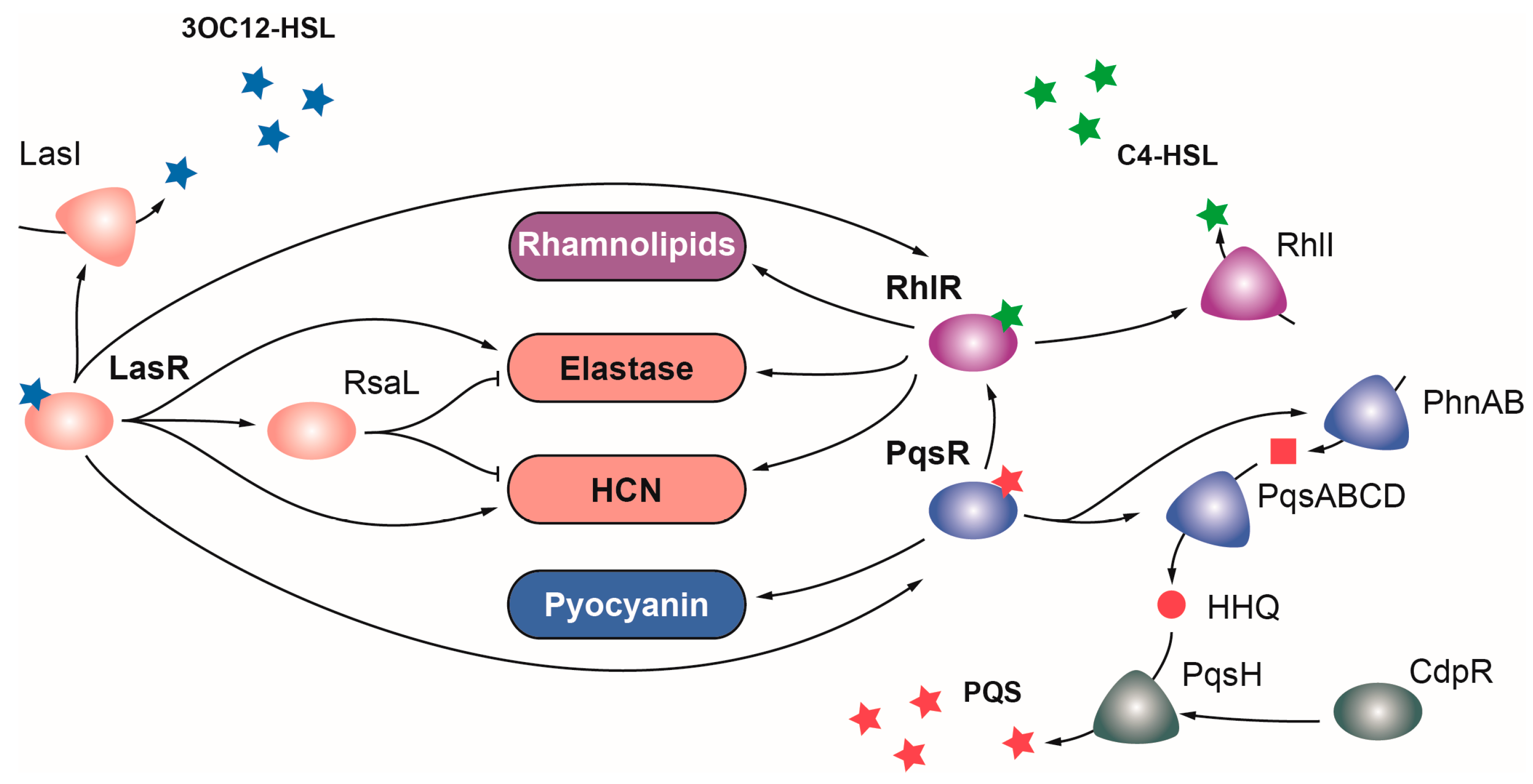 Ijms 24 11895 g002 Ijms 24 11895 g002