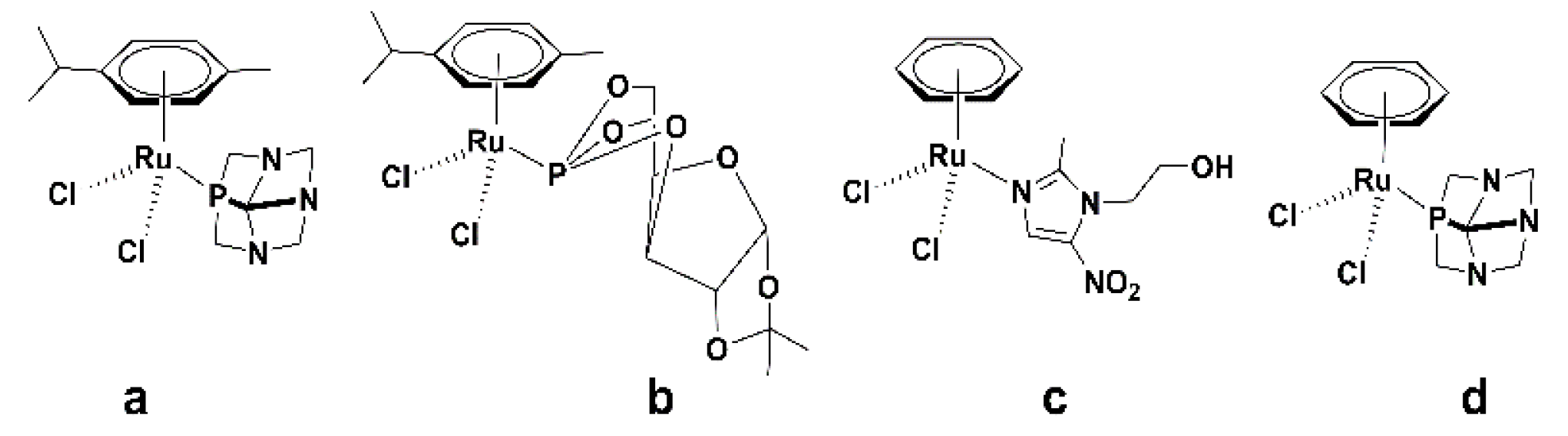 Ijms 24 11896 g001 Ijms 24 11896 g001