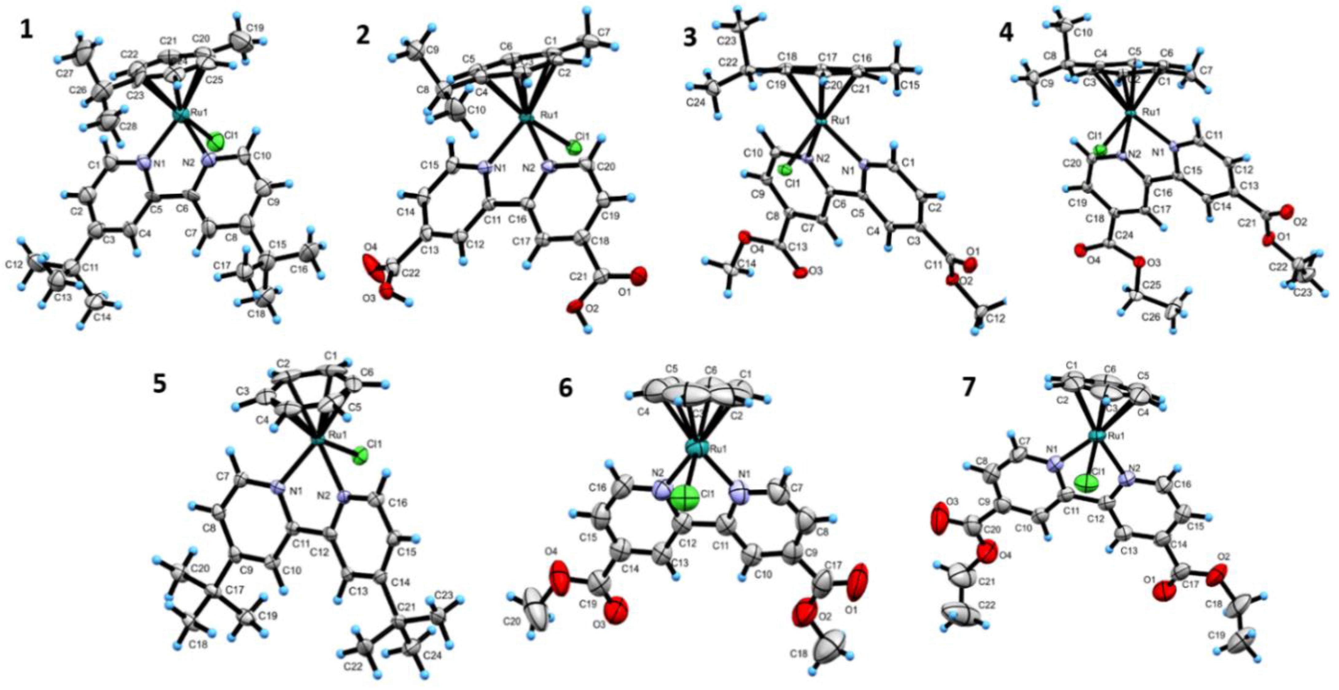 Ijms 24 11896 g006 Ijms 24 11896 g006