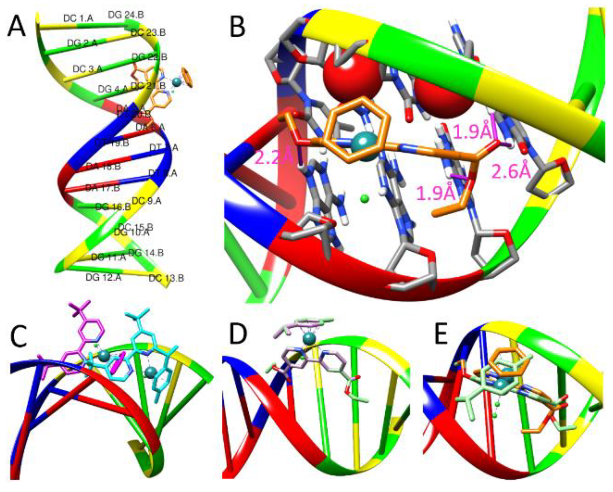 Ijms 24 11896 g011 Ijms 24 11896 g011