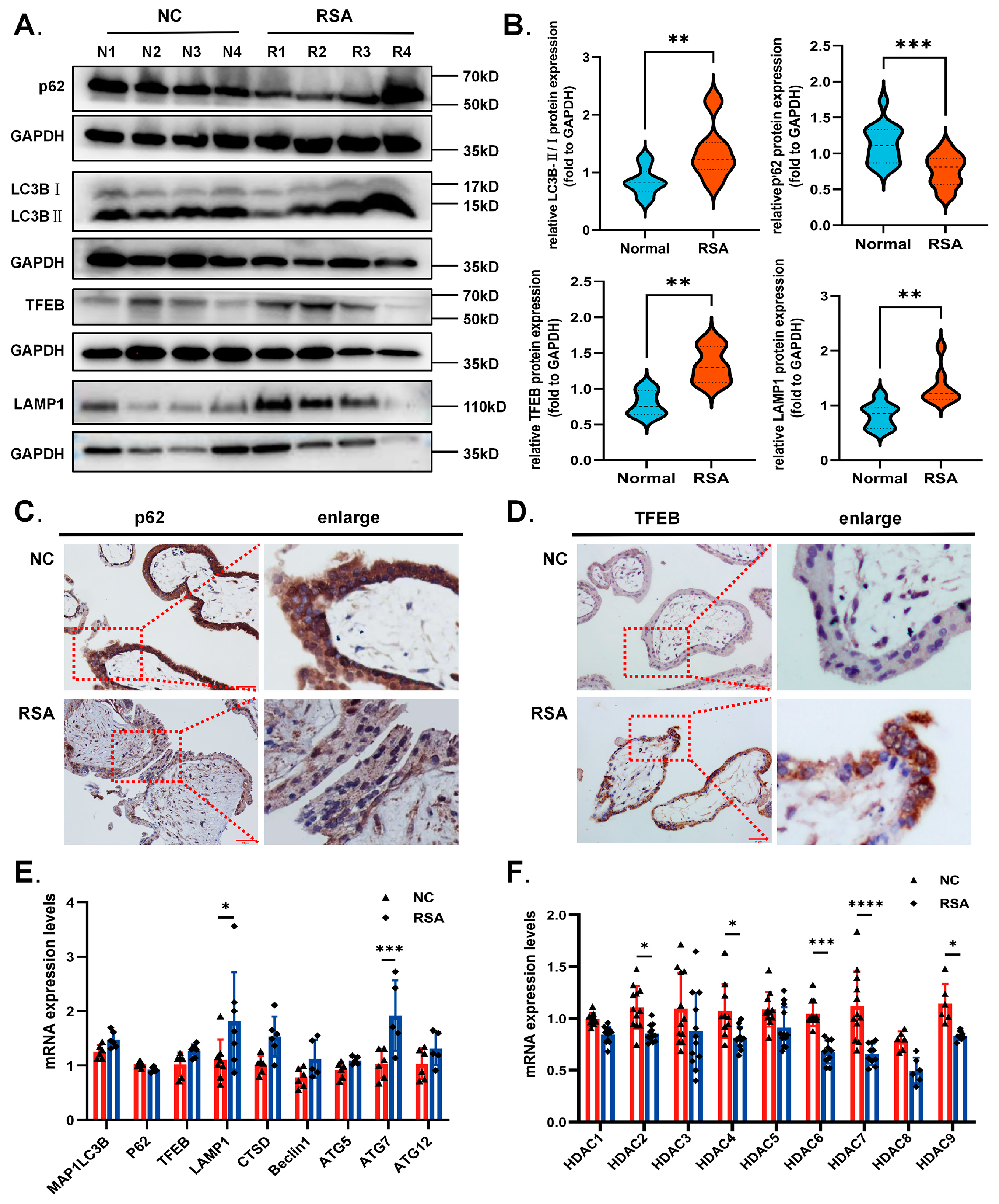 Ijms 24 11899 g001 Ijms 24 11899 g001