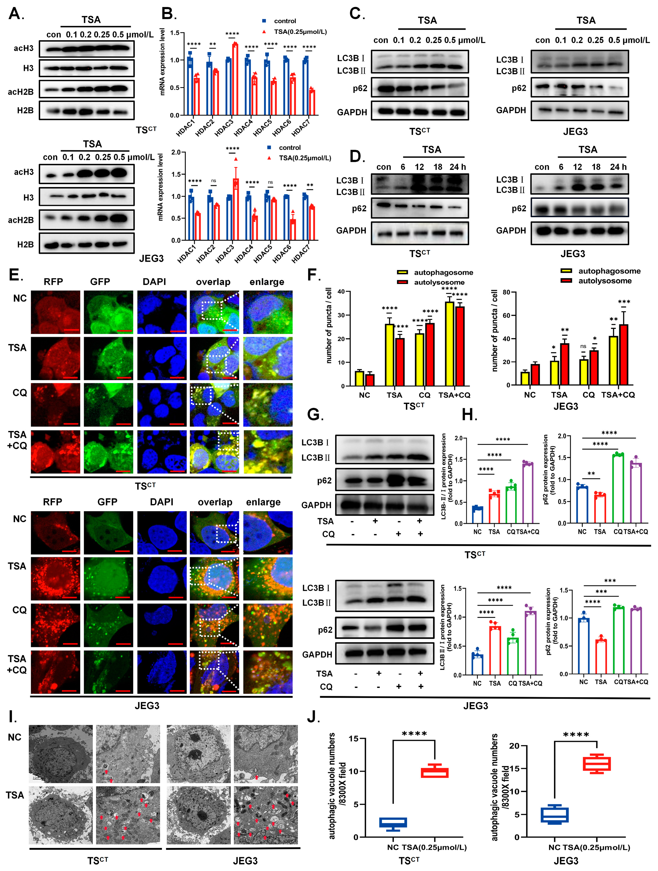 Ijms 24 11899 g002 Ijms 24 11899 g002