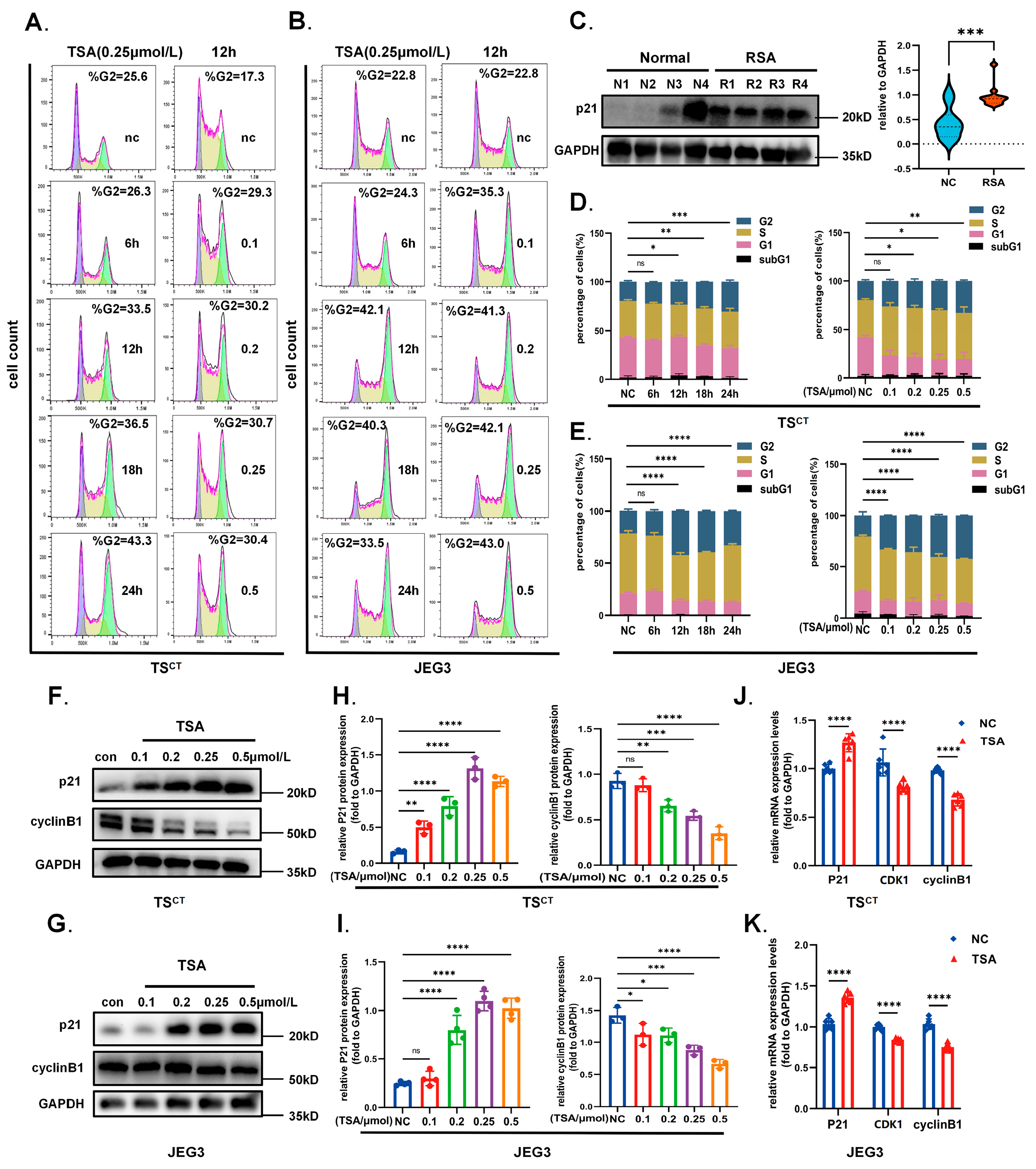 Ijms 24 11899 g005 Ijms 24 11899 g005