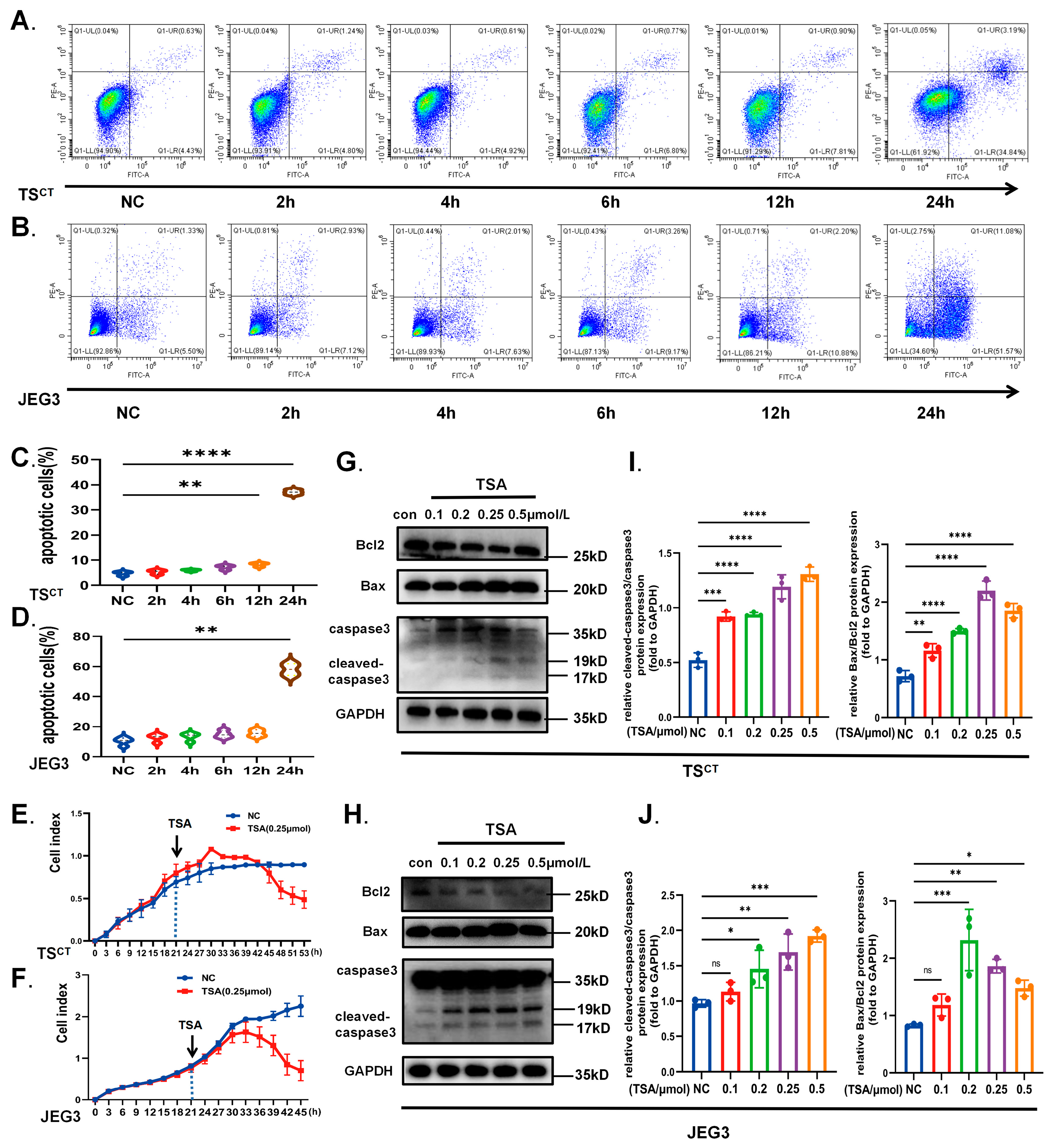 Ijms 24 11899 g006 Ijms 24 11899 g006
