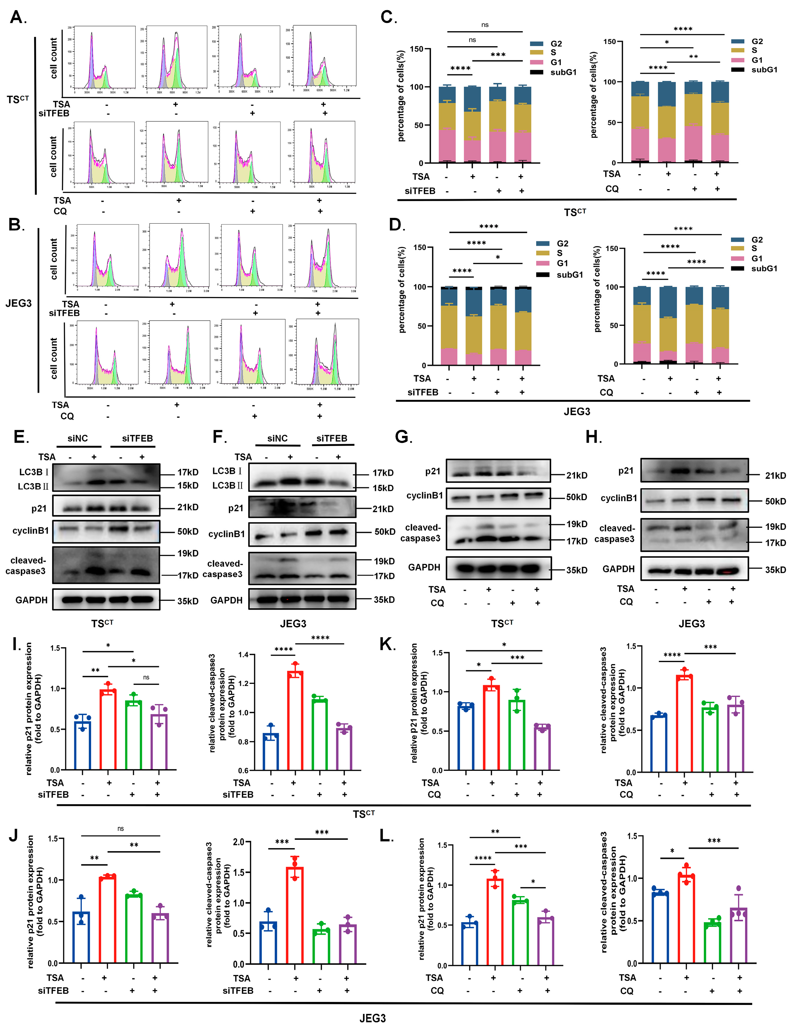 Ijms 24 11899 g007 Ijms 24 11899 g007