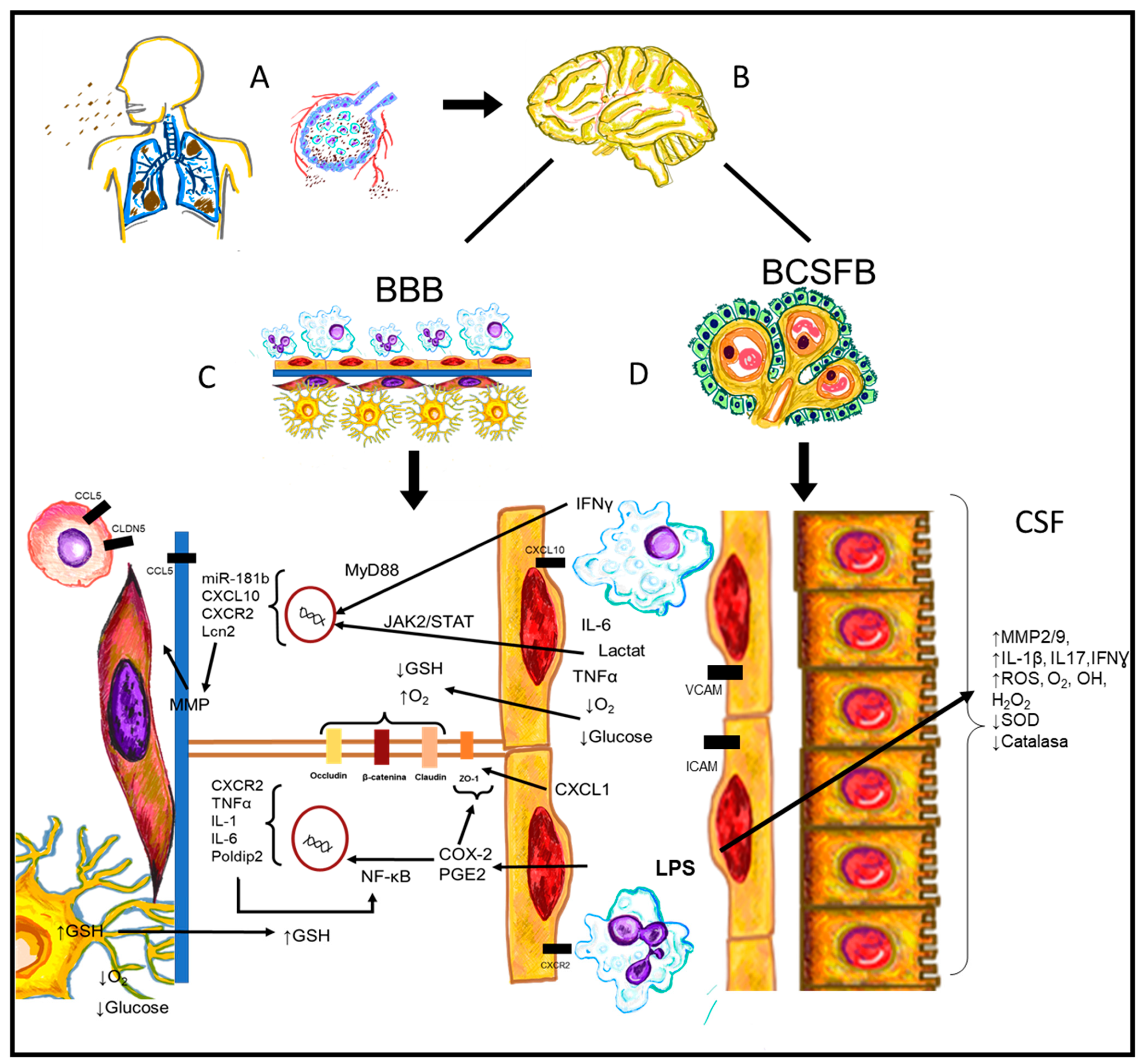 Ijms 24 11902 g002 Ijms 24 11902 g002