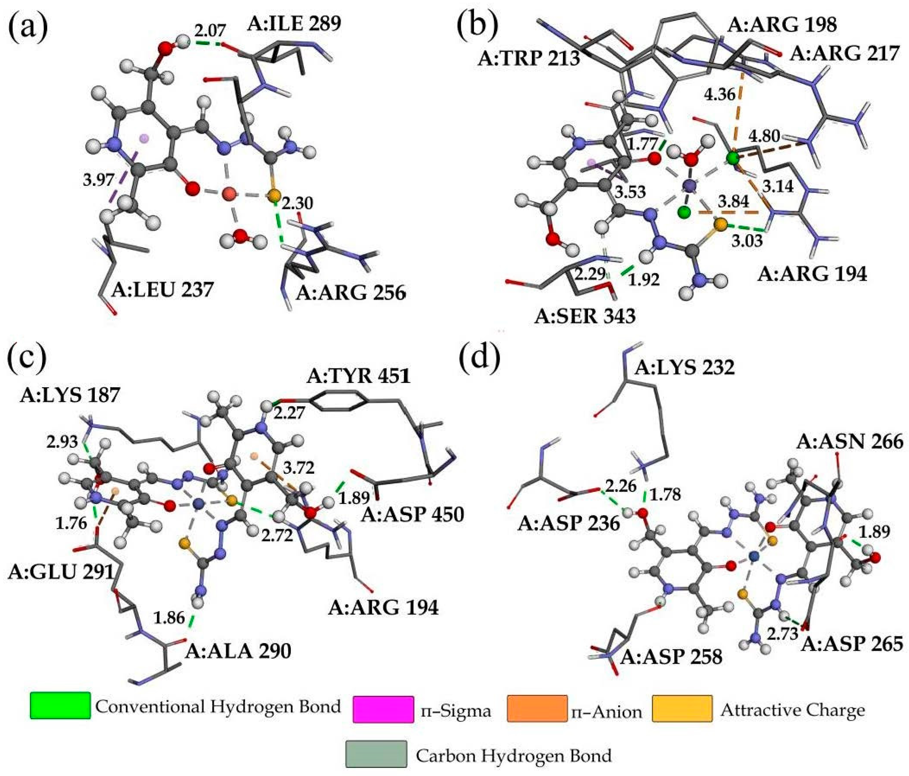 Ijms 24 11910 g006 Ijms 24 11910 g006