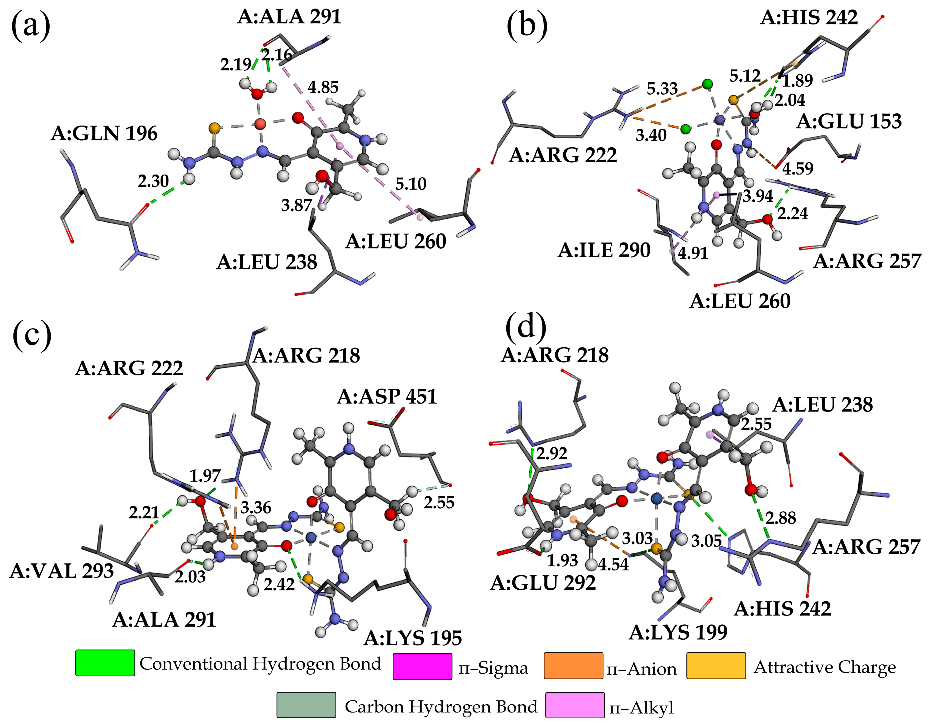 Ijms 24 11910 g007 Ijms 24 11910 g007